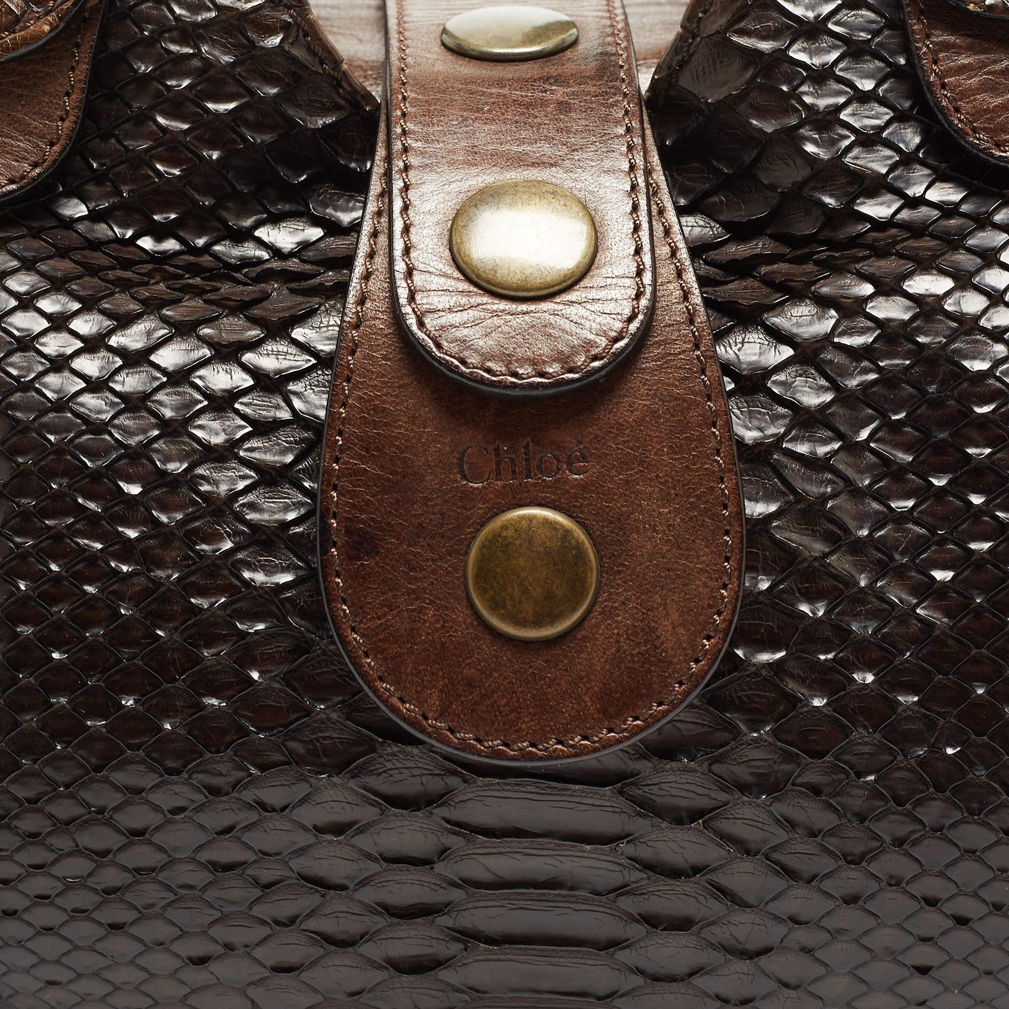 Chloe Dark Brown Python and Leather Silverado Satchel 6