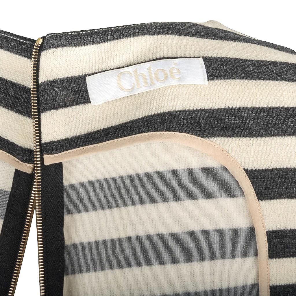 Chloe Dress Striped Charcoal and Vanilla A-Line Modern 38 / 4  For Sale 3
