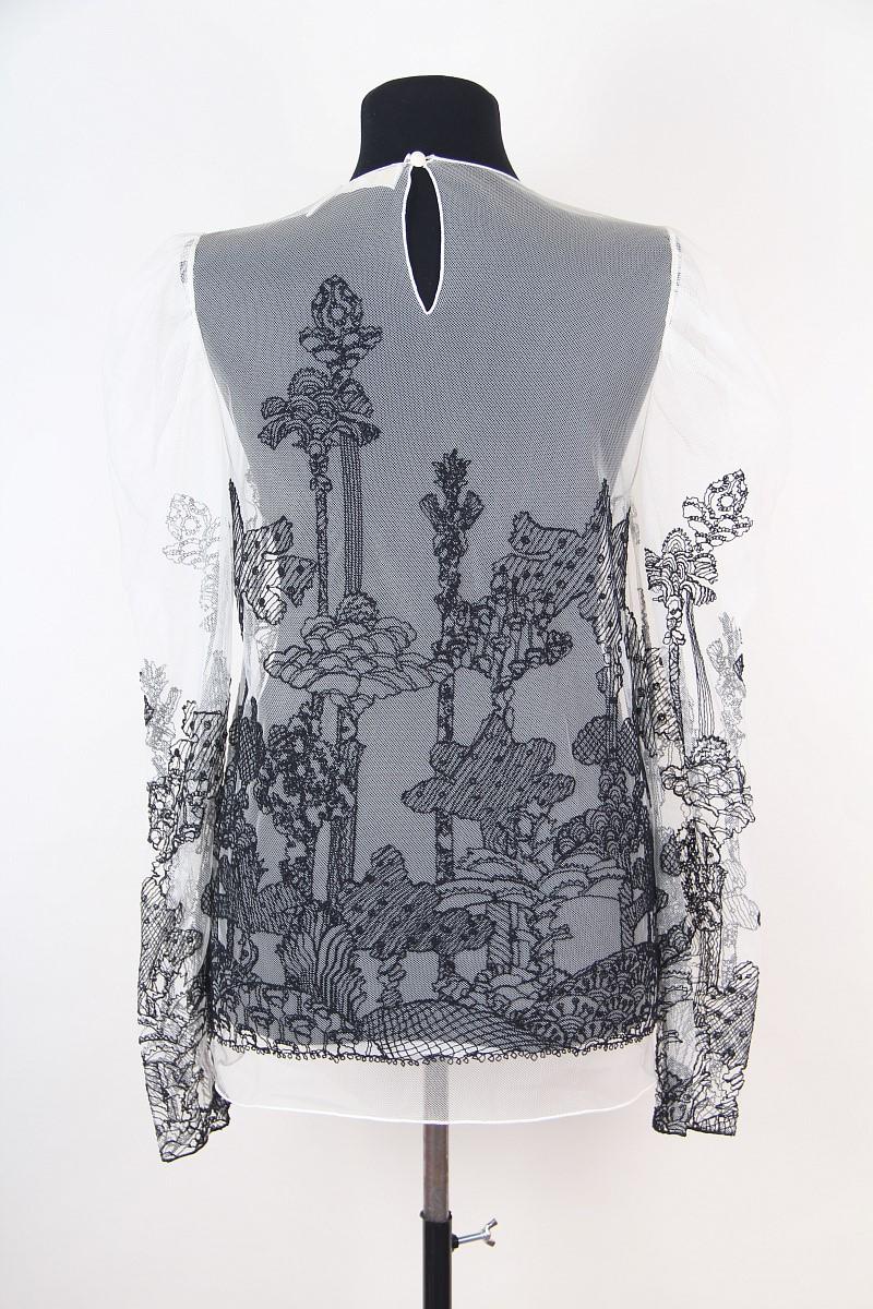 Chloe Fall 2017 RTW runway Dreamscape Embroidered Top Clare Waight Keller For Sale 1
