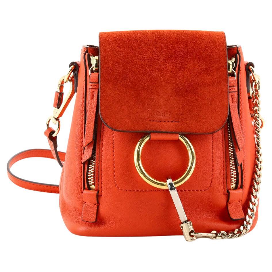 Chloe Faye Backpack Leather and Suede Mini at 1stDibs