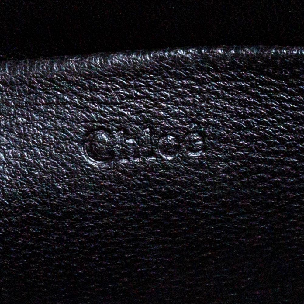 Chloe Grünes Leder Kleines Nilarmband Minaudiere Crossbody Tasche 2