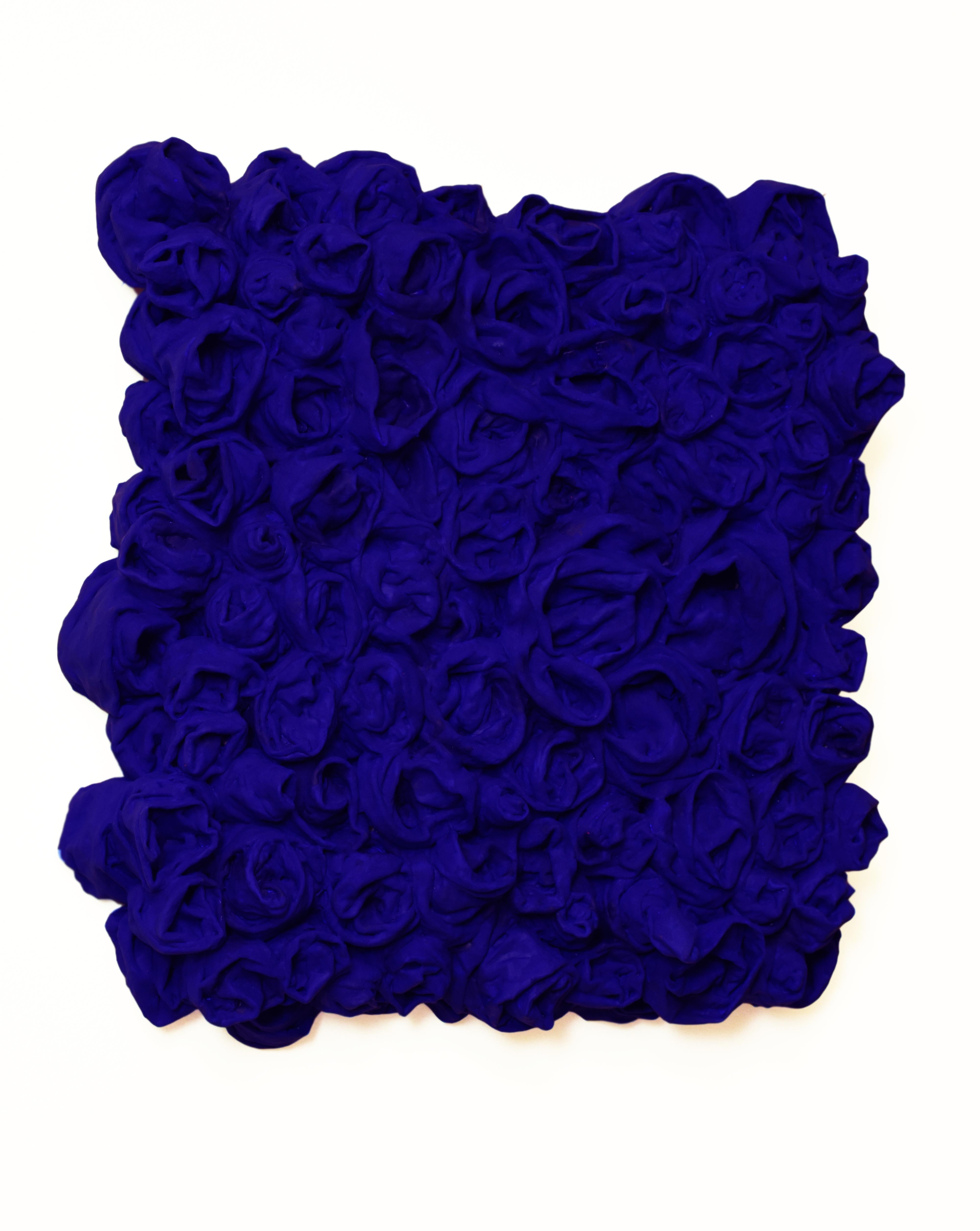 Ultra-Blue Rosettes 1