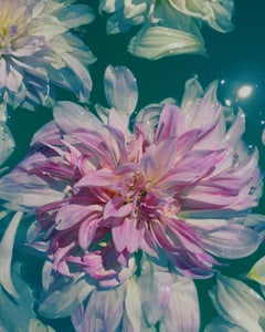 DAHLIA IN A RAVELLO FOUNTAIN (floral aqua painting realist flower oil painting)