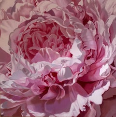 Shanti (pink flower painting, oil on canvas, realism, floral, petals, close up)