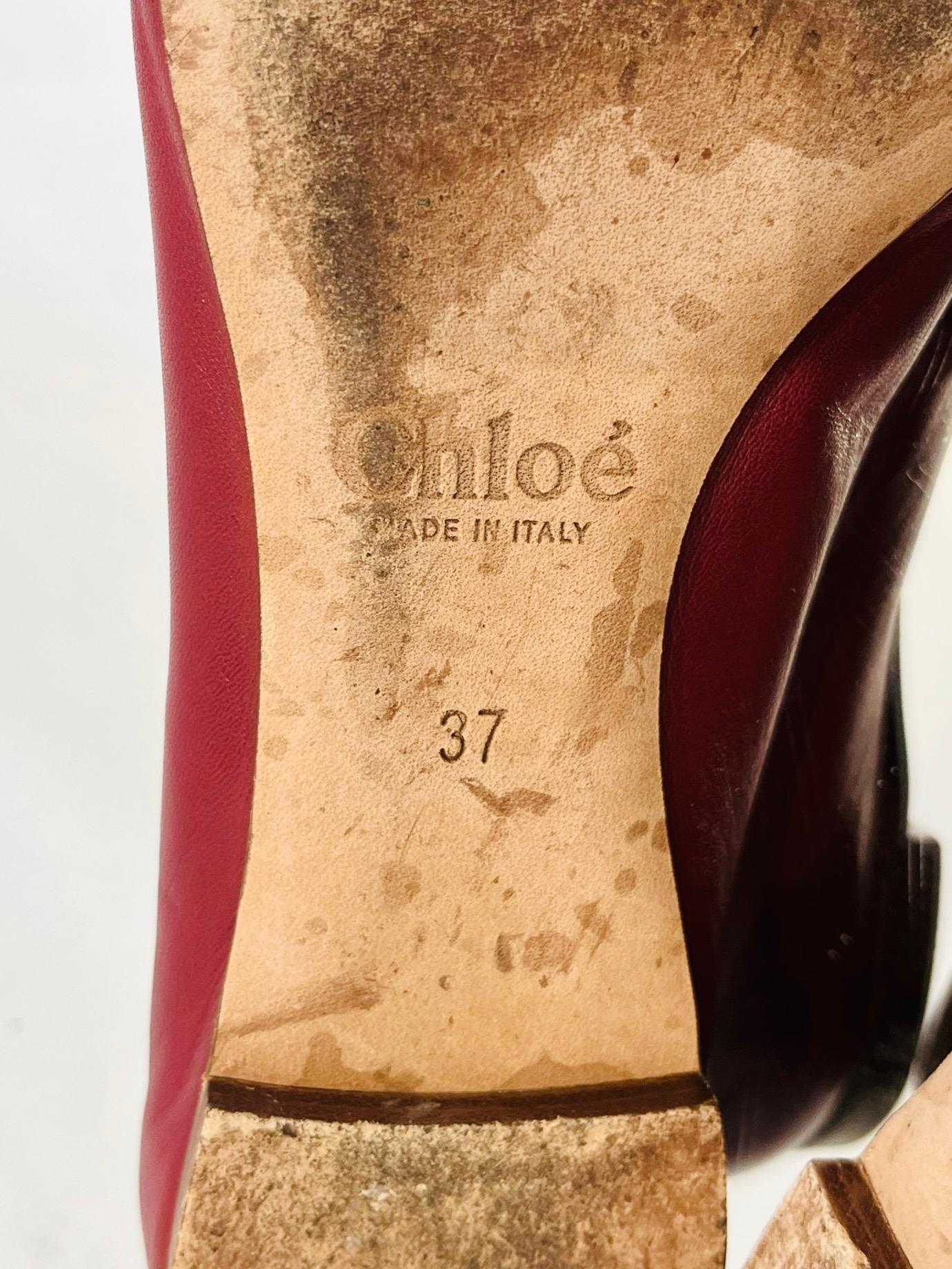 Chloe Leather Ballerina Flats For Sale 2