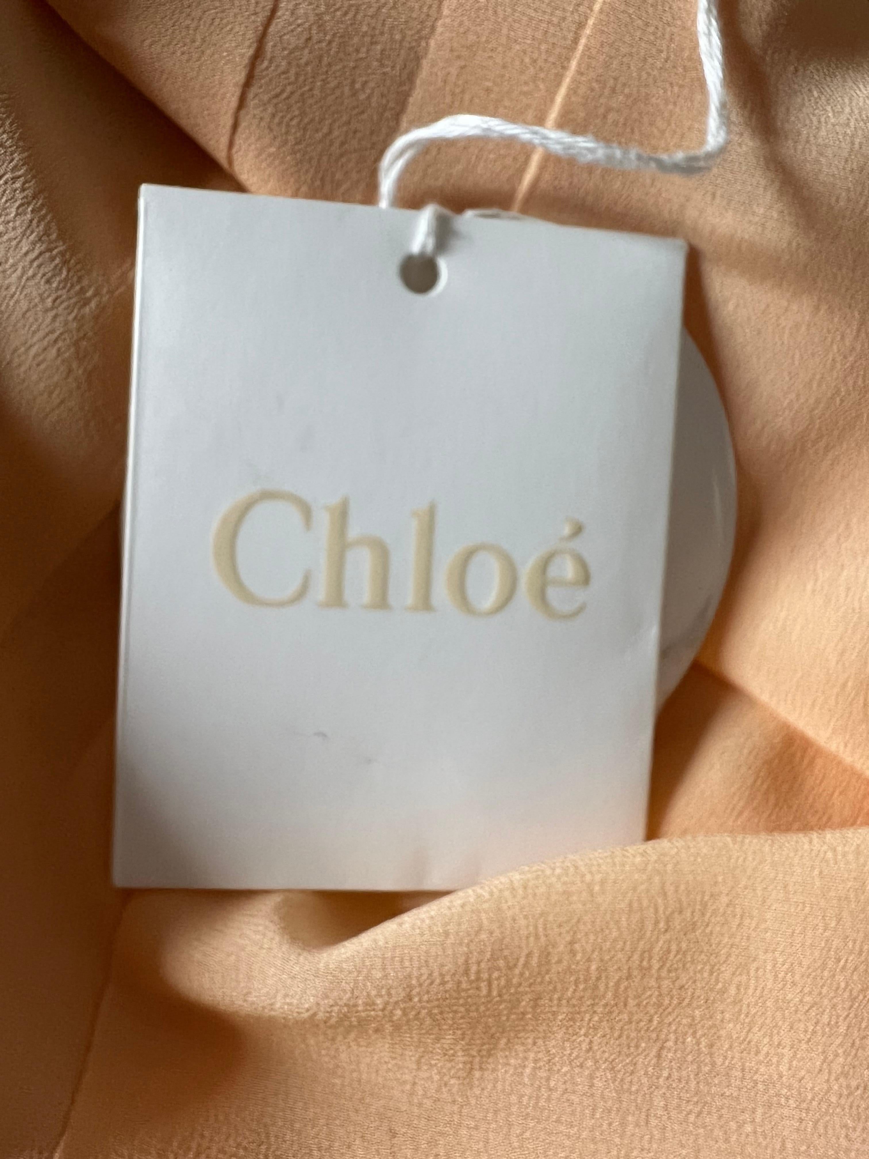  Chloe Peach Silk Pleated Maxi Dress, Size 36 For Sale 5