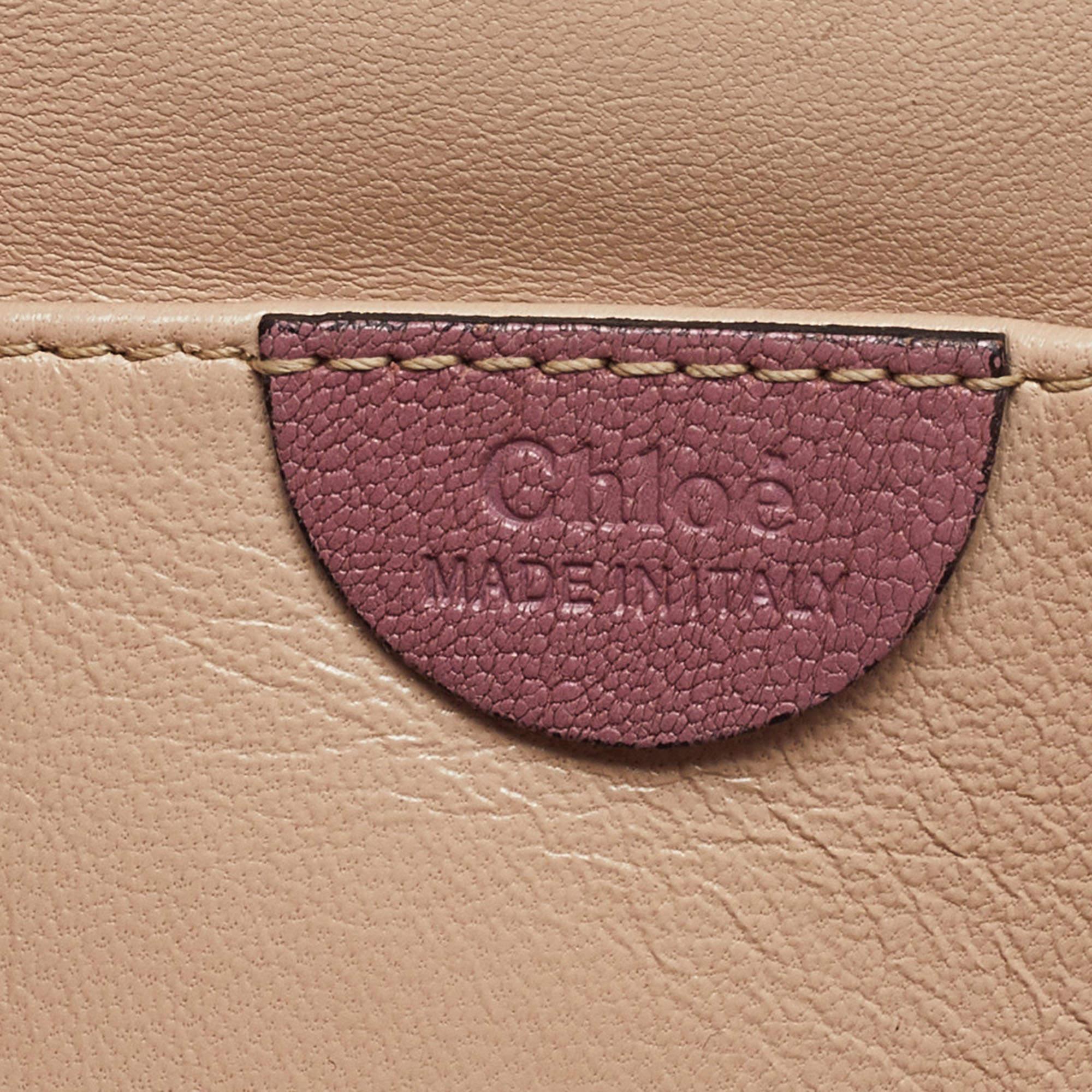 Chloé Pink Leather Small Elsie Shoulder Bag 6
