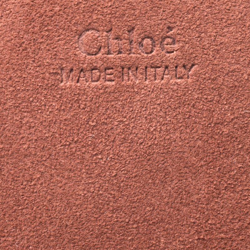 Chloe Pink Suede And Leather Drew Crossbody Bag 5