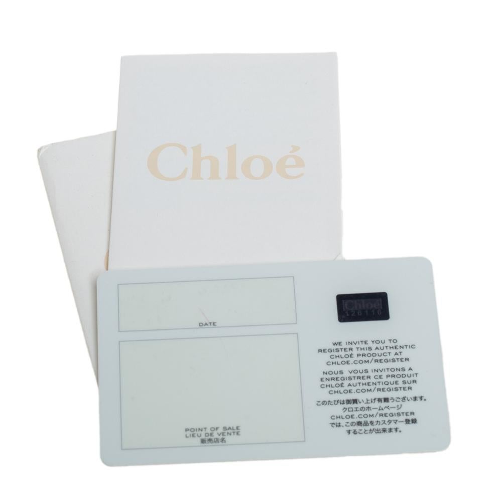 Chloe Stahlblaues Leder Großer Marcie Hobo 5