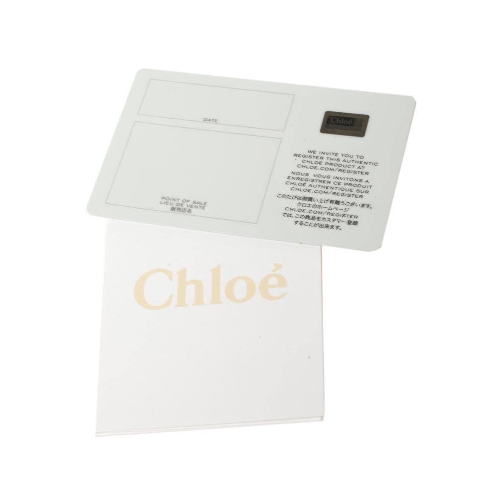 Chloe Tri Color Leather Drew Saddle Bag 5