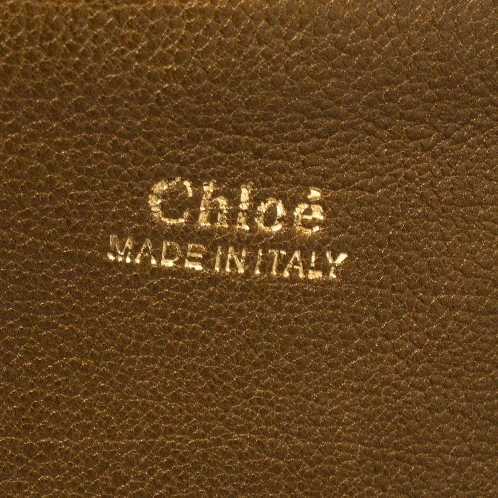 Chloe Tri Color Leather Drew Saddle Bag 1