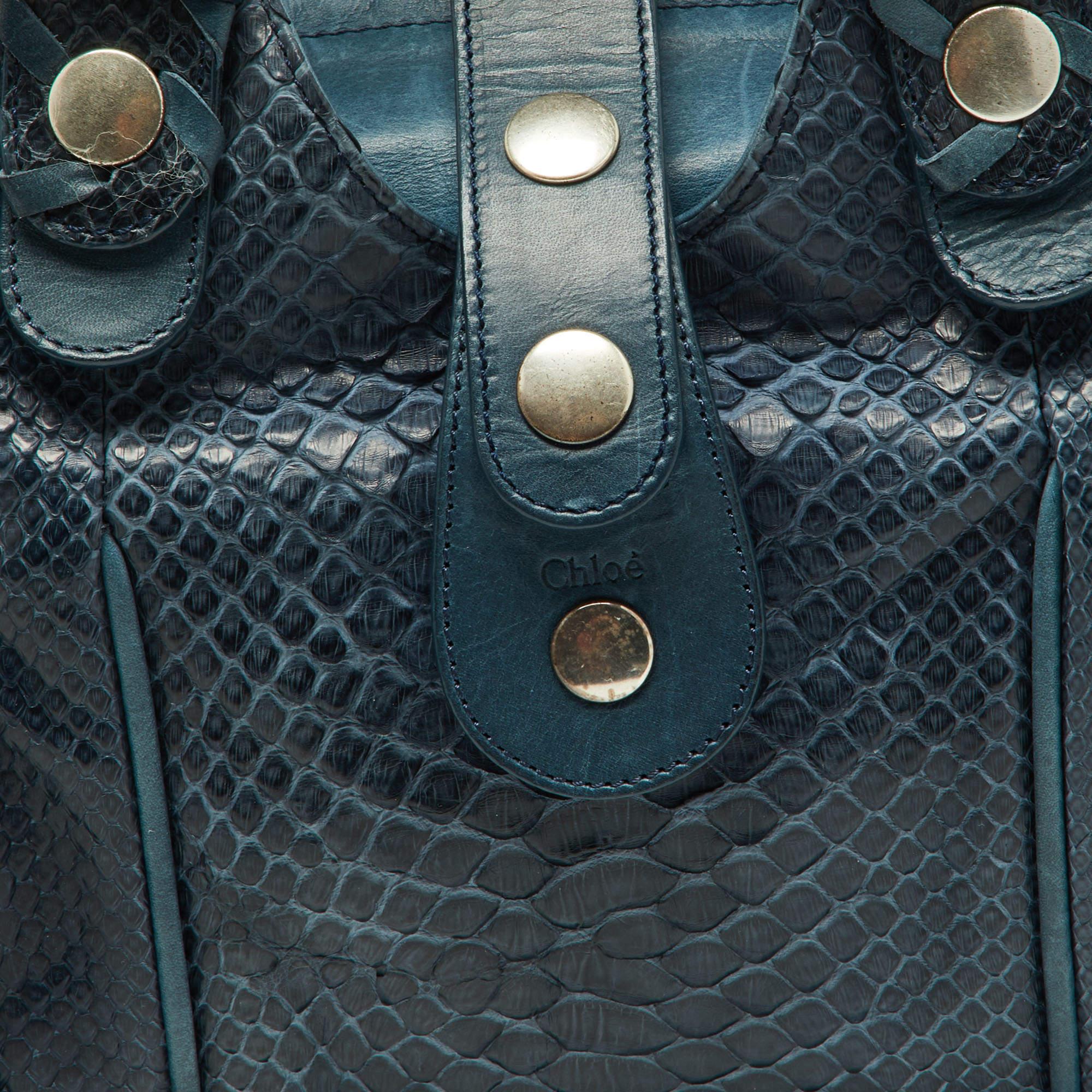 Chloe Two Tone Blue Python and Leather Silverado Satchel 5