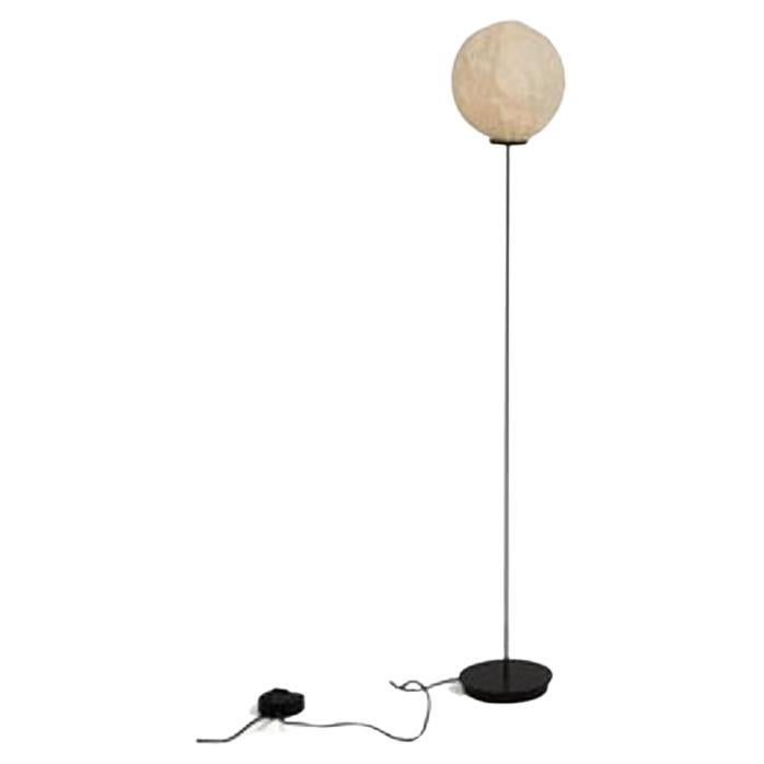 Cho F1 Light Floor Lamp by Established & Sons