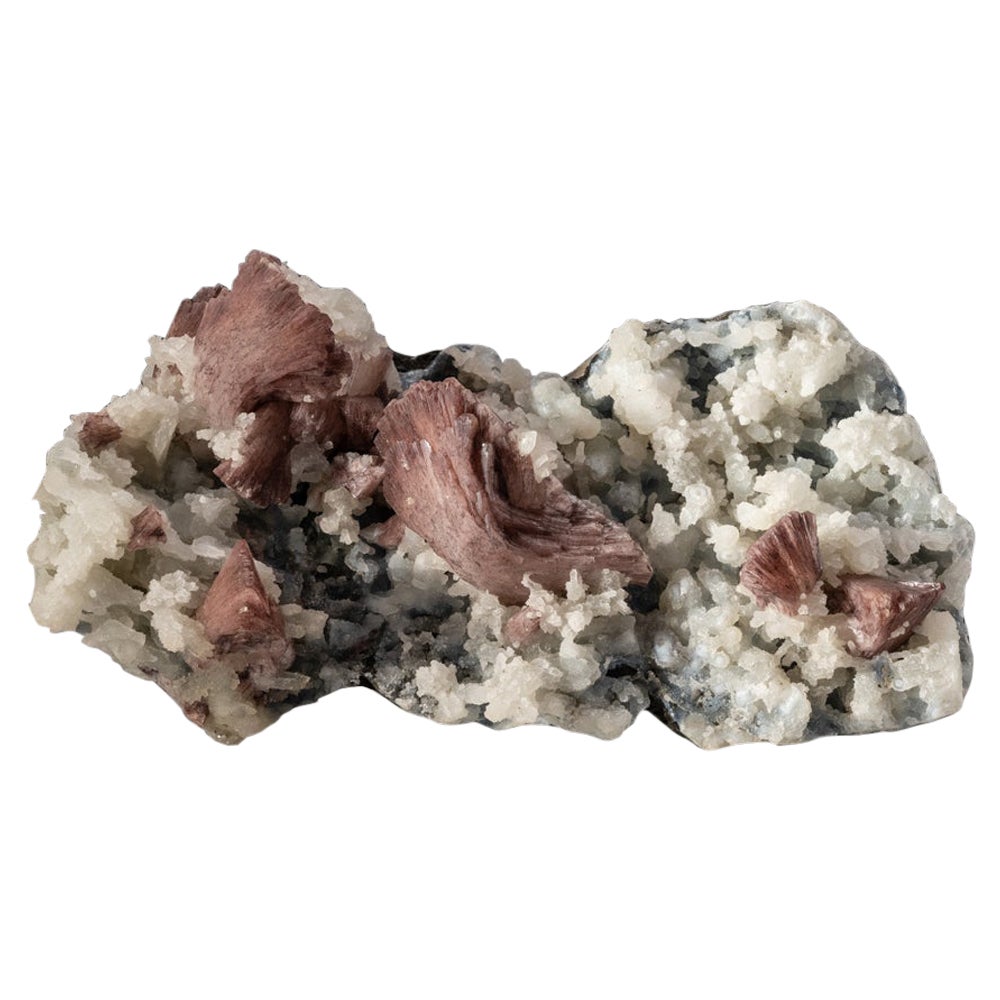 Heulandite al cioccolato su matrice di calcedonio Sawda, Maharashtra, India