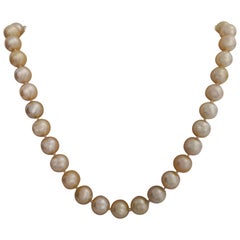 Chokers Golden Natural Color South Sea Pearls Necklace, 18 Karat Gold