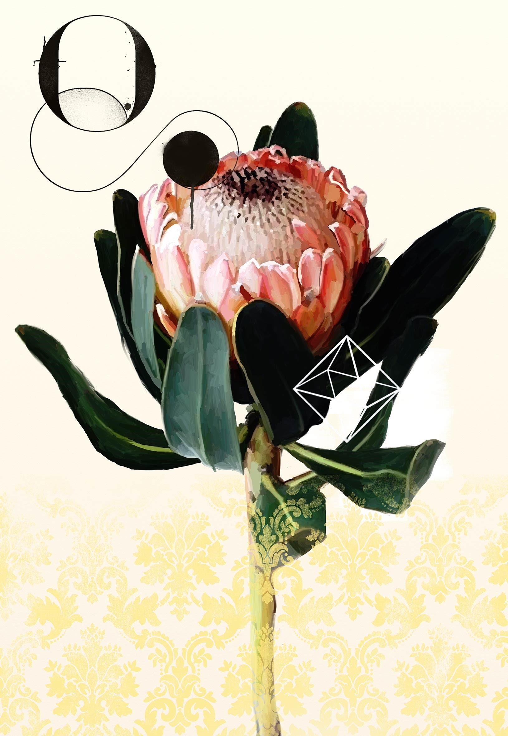 Blumenblume - Grafikstil, limitierte Auflage Digitaldruck: Collage/Acryl.  