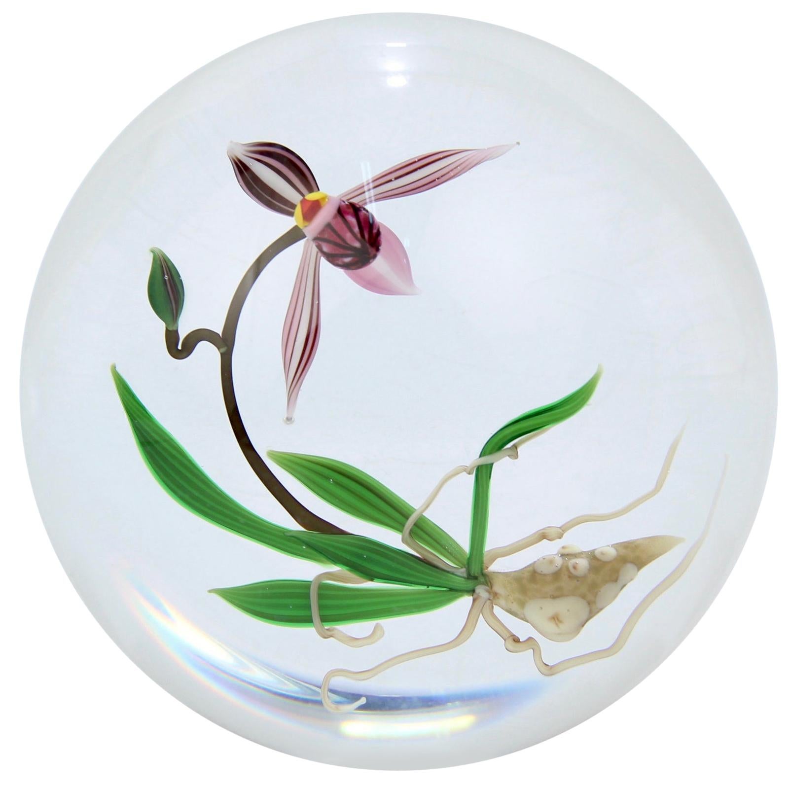 Chris Buzzini Artist-Proof Orchid Flower and Roots Art Glass Paperweight For Sale