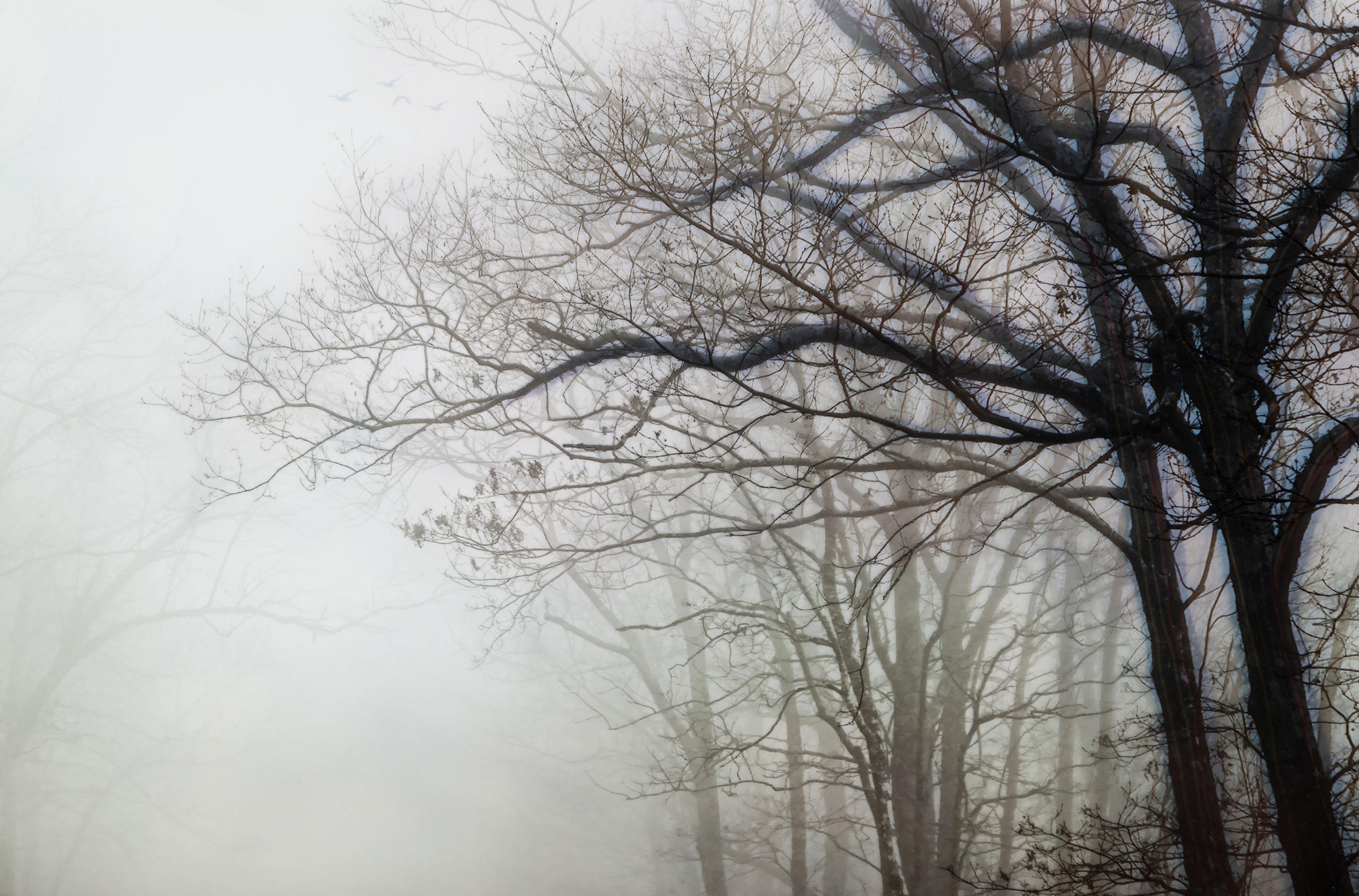 Cuadrante I- Investigaciones de Interiores - Photograph de Chris Dahlquist