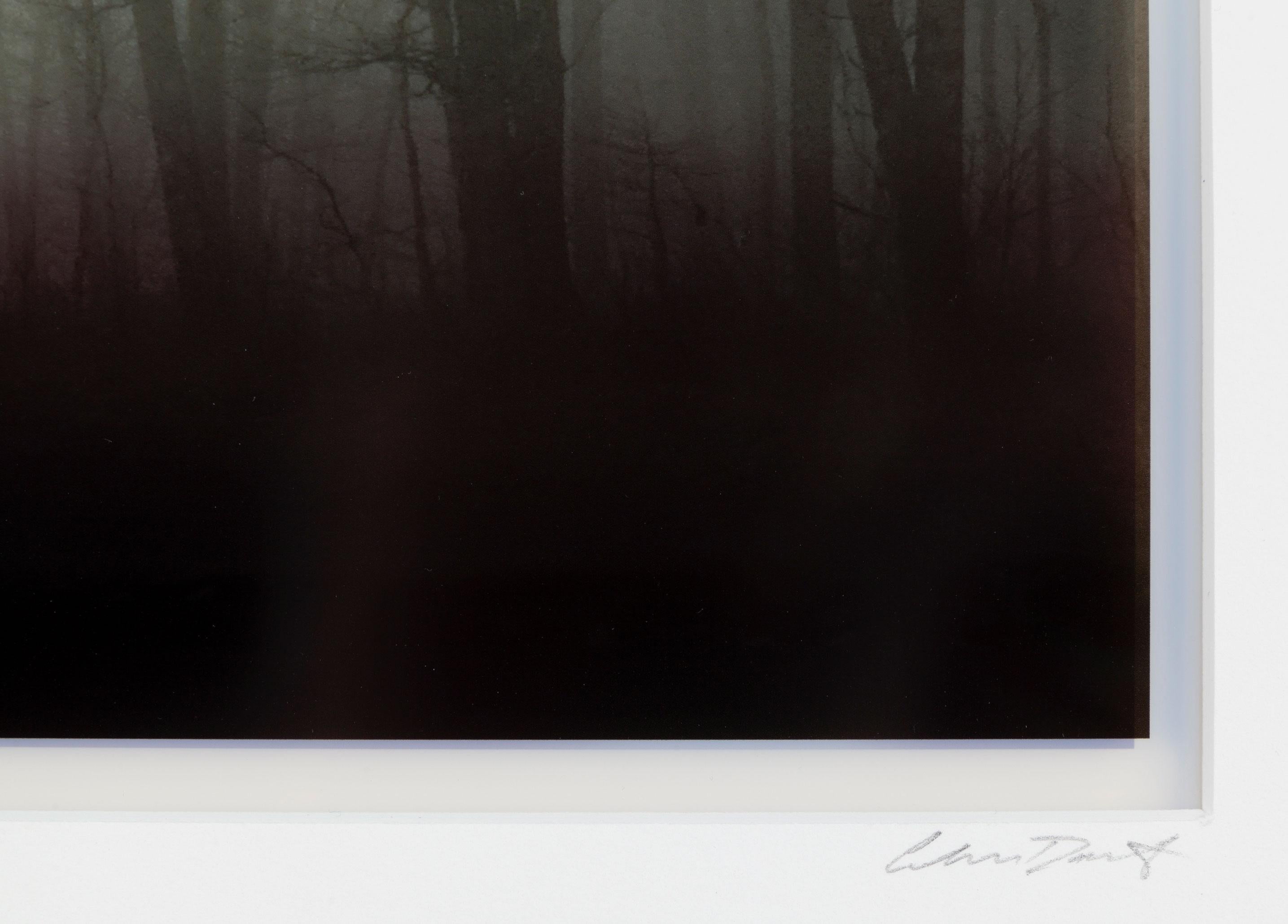 Cuadrante J- Investigaciones sobre el diálogo - Photograph Contemporáneo de Chris Dahlquist