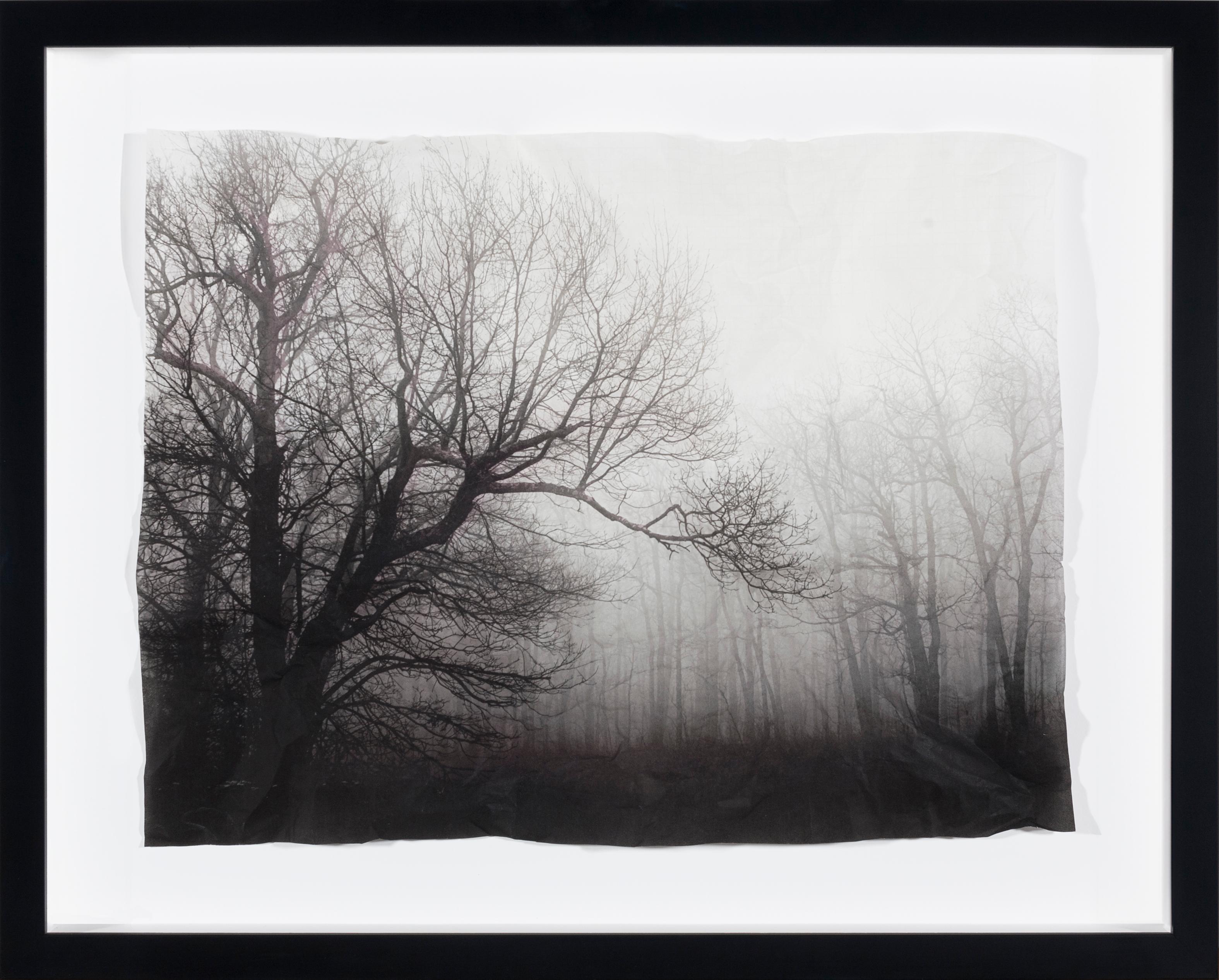 Handmade Paper Landscape Photography