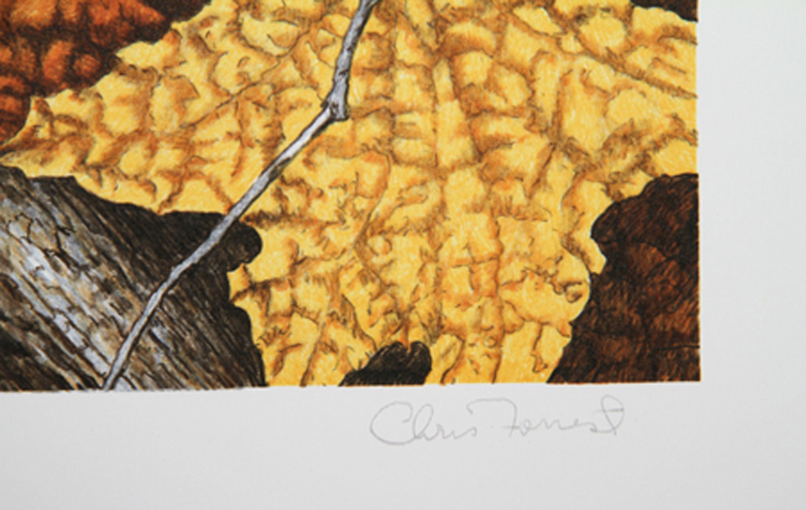 Bob White Quails, amerikanische realistische Lithographie von Chris Forrest im Angebot 1