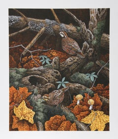 Bob White Quails, lithographie réaliste américaine de Chris Forrest