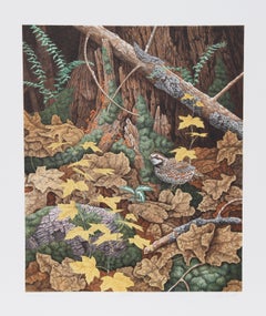Bob White Quails II, lithographie réaliste américaine de Chris Forrest