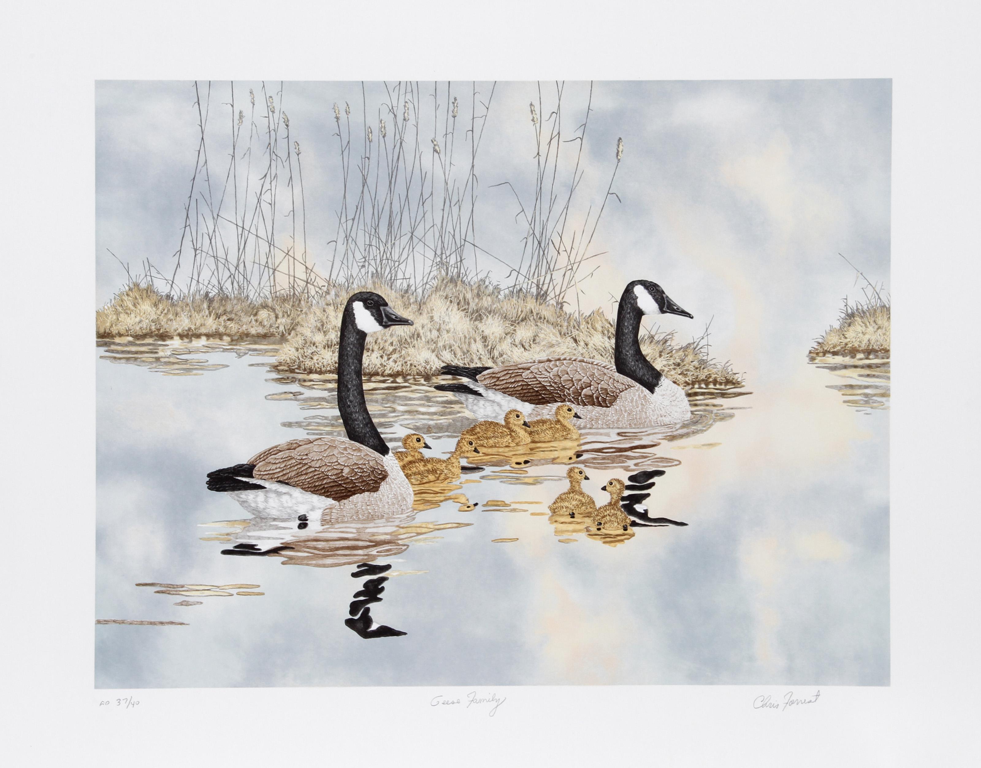 Acqua Stampe (animali)