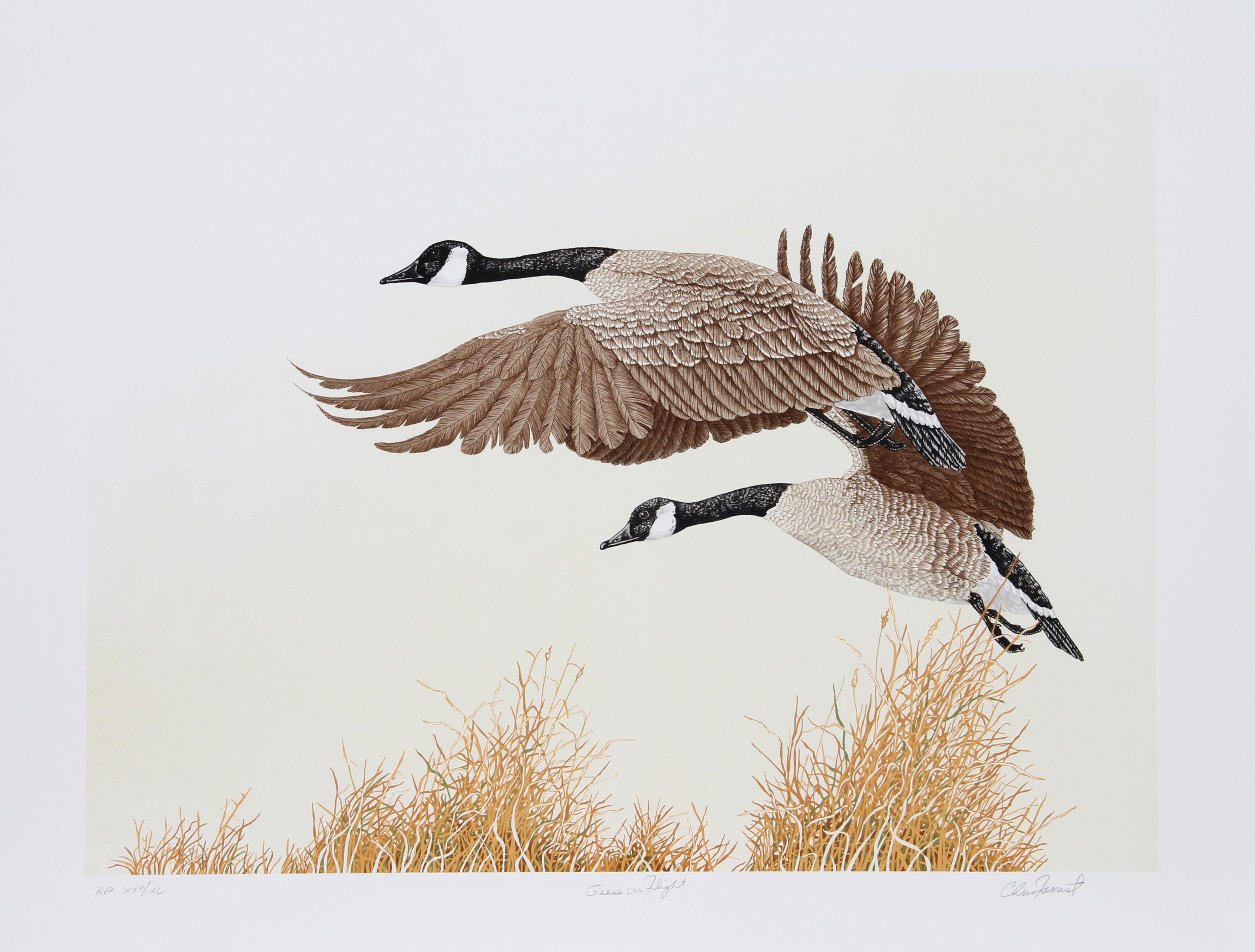Canada Geese in Flight, amerikanische realistische Lithographie von Chris Forrest