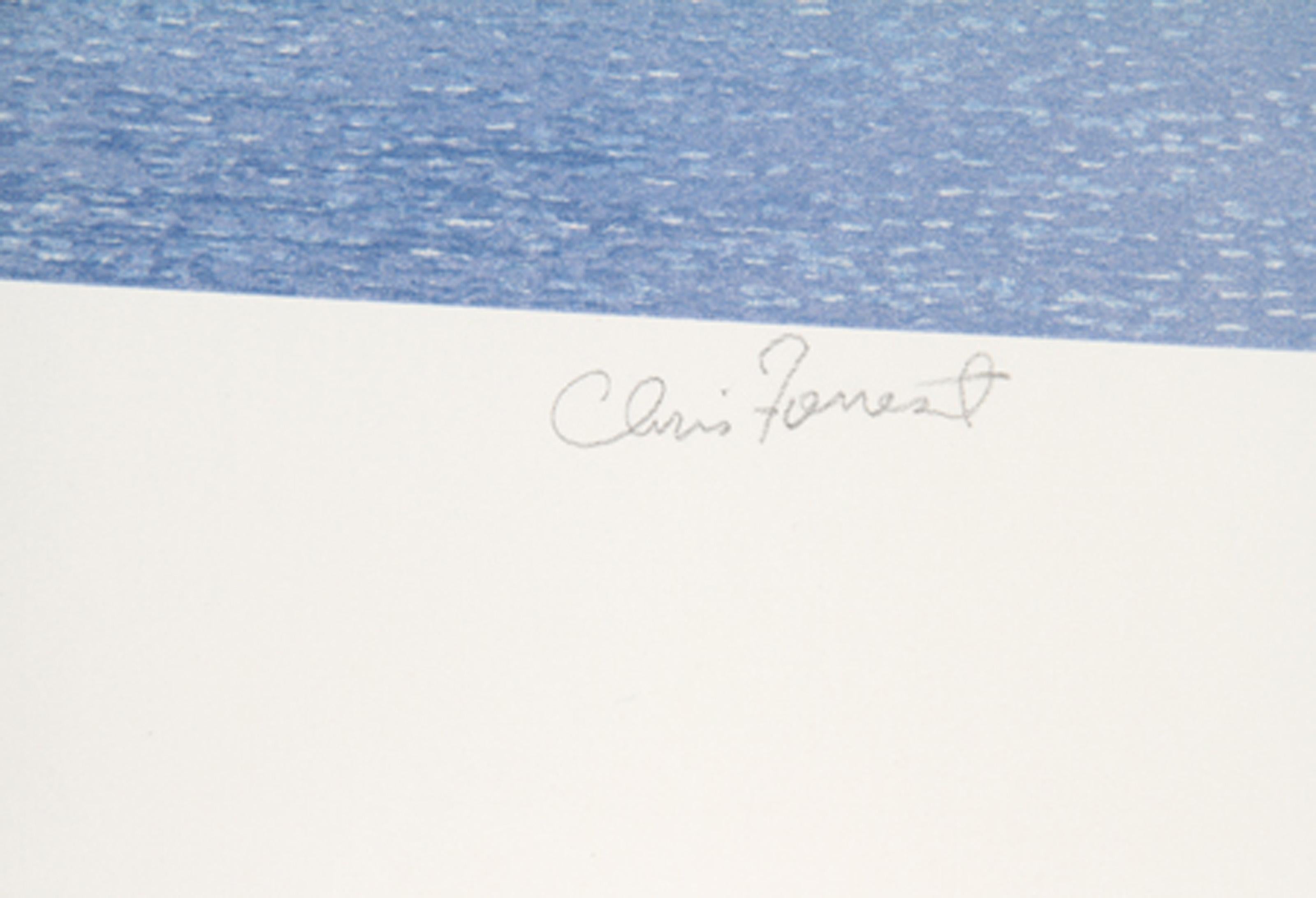 Common Terns, Lithographie des amerikanischen Realismus von Chris Forrest im Angebot 1
