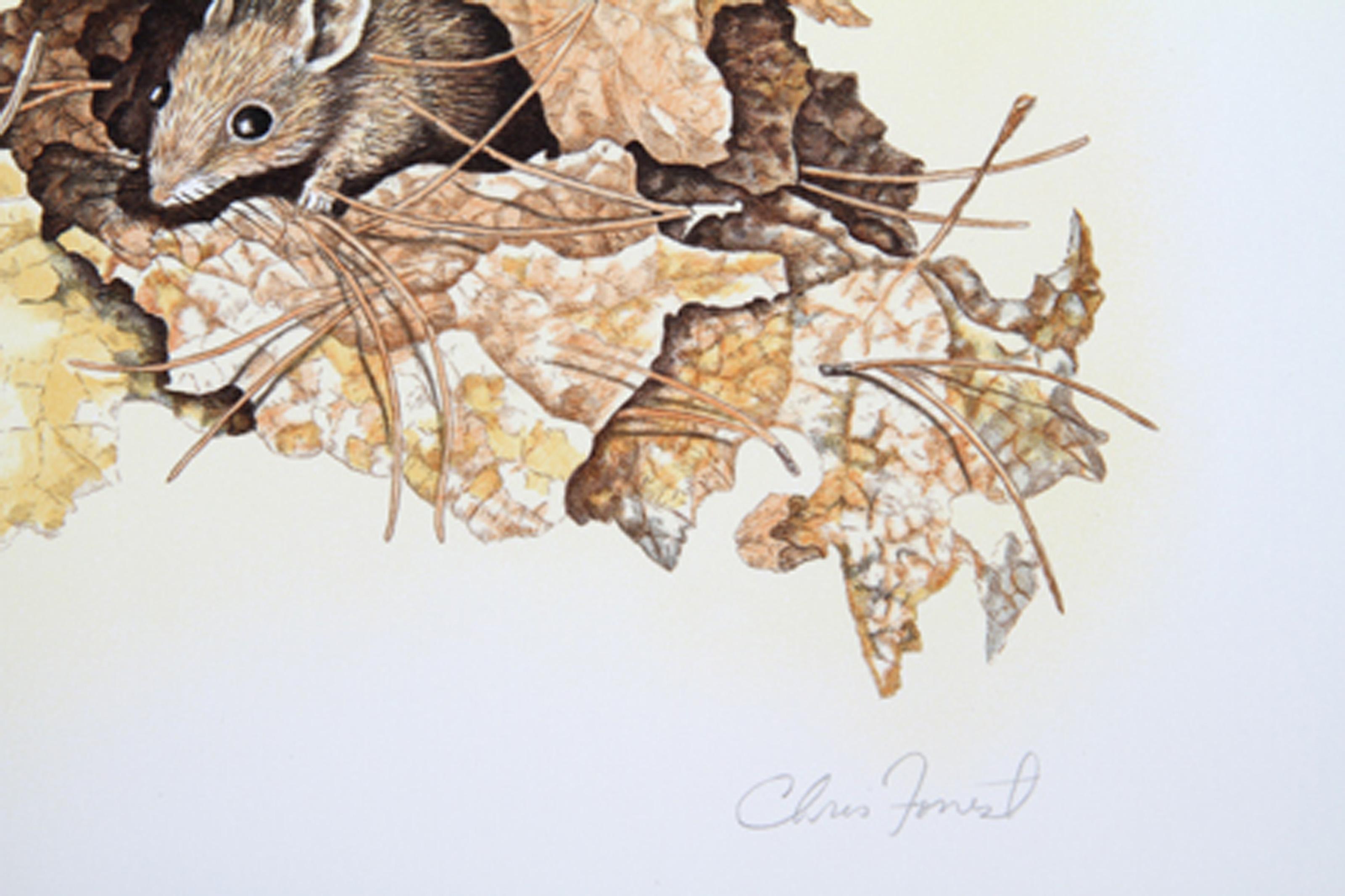 Deer Mouse, American Realist Lithograph by Chris Forrest For Sale 1
