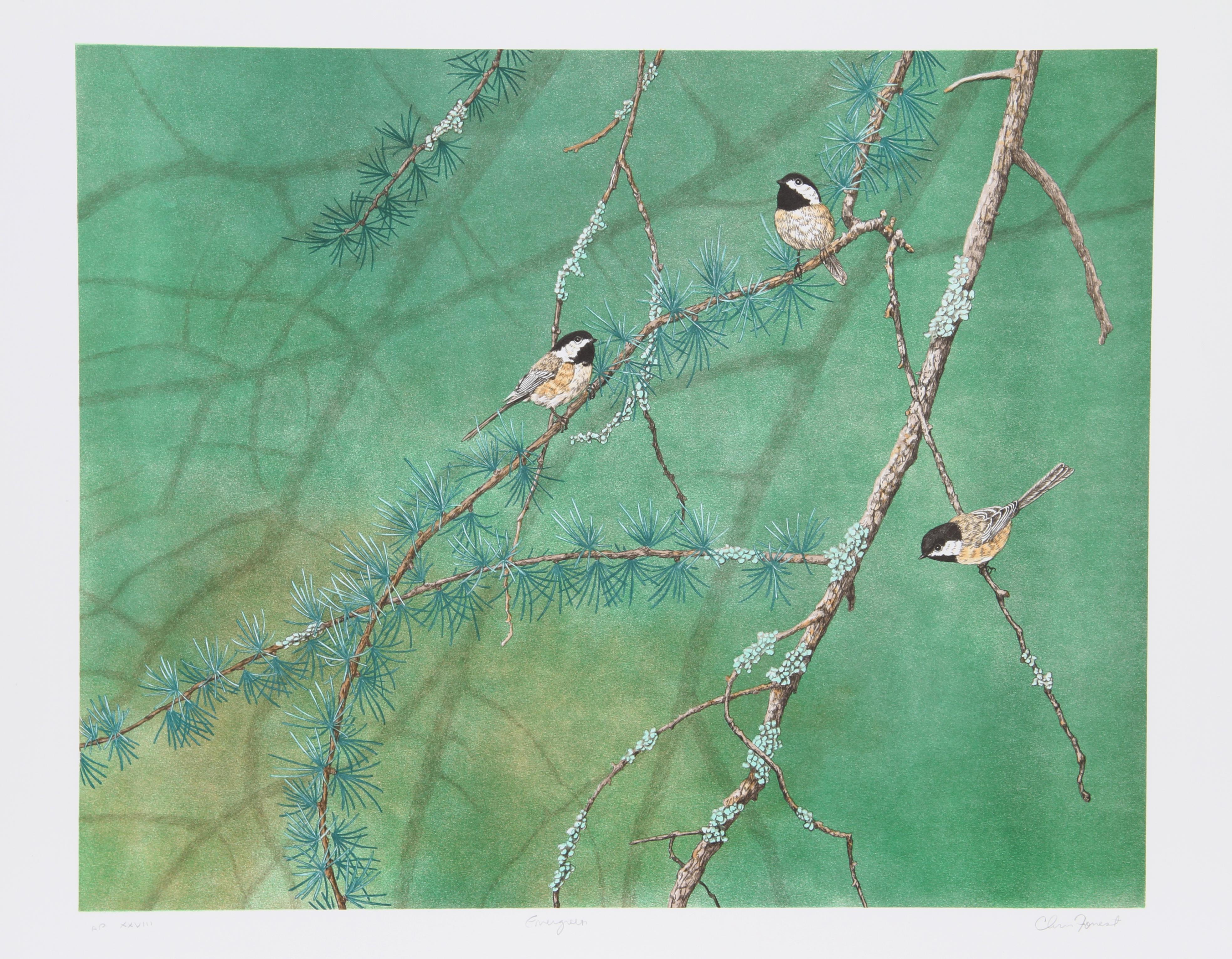 Evergreen, lithographie de Chris Forrest