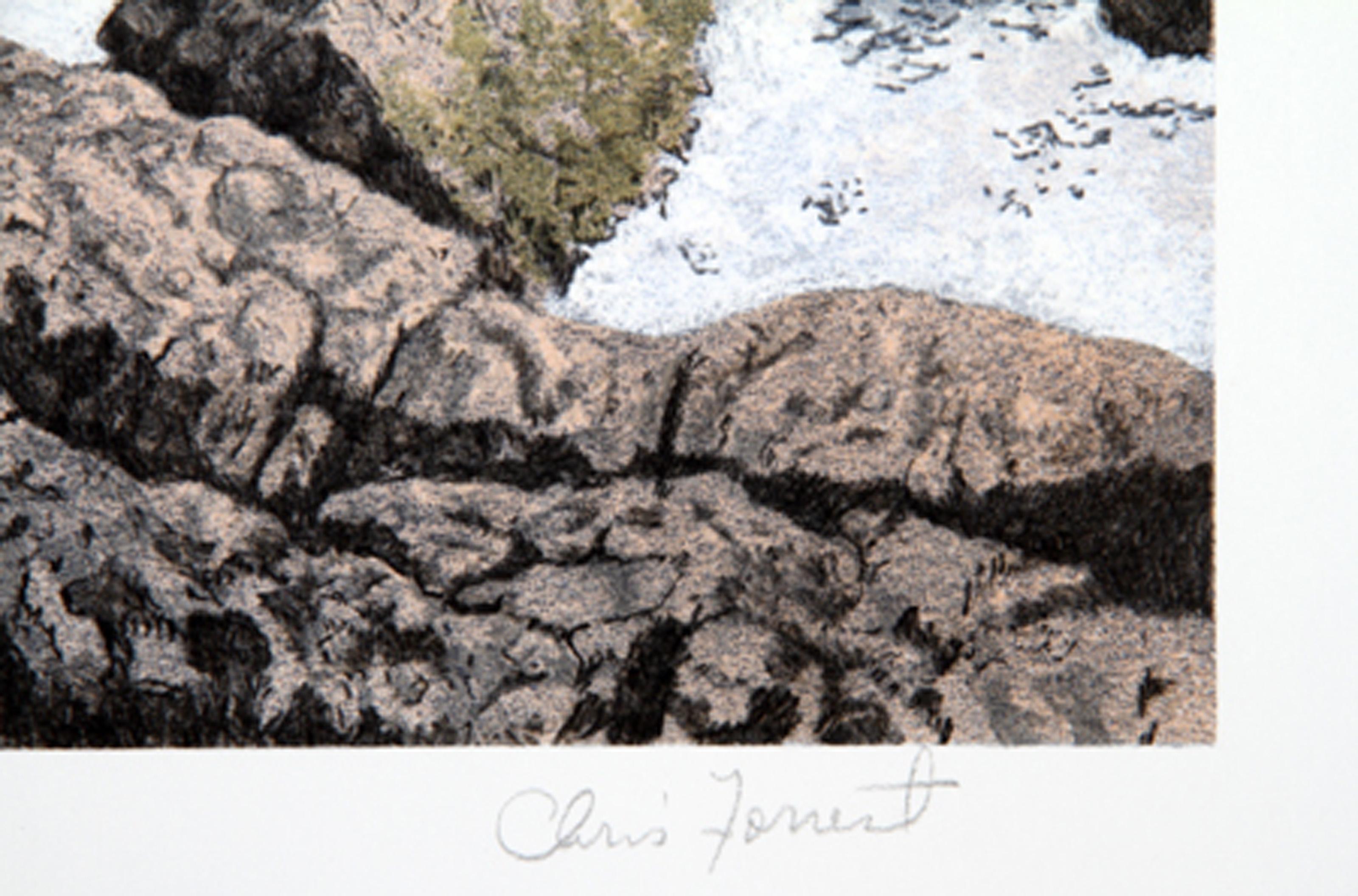 Falcon's Vigil, American Realist Lithograph by Chris Forrest For Sale 1