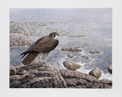 Falcon's Vigil, litografia realista americana di Chris Forrest