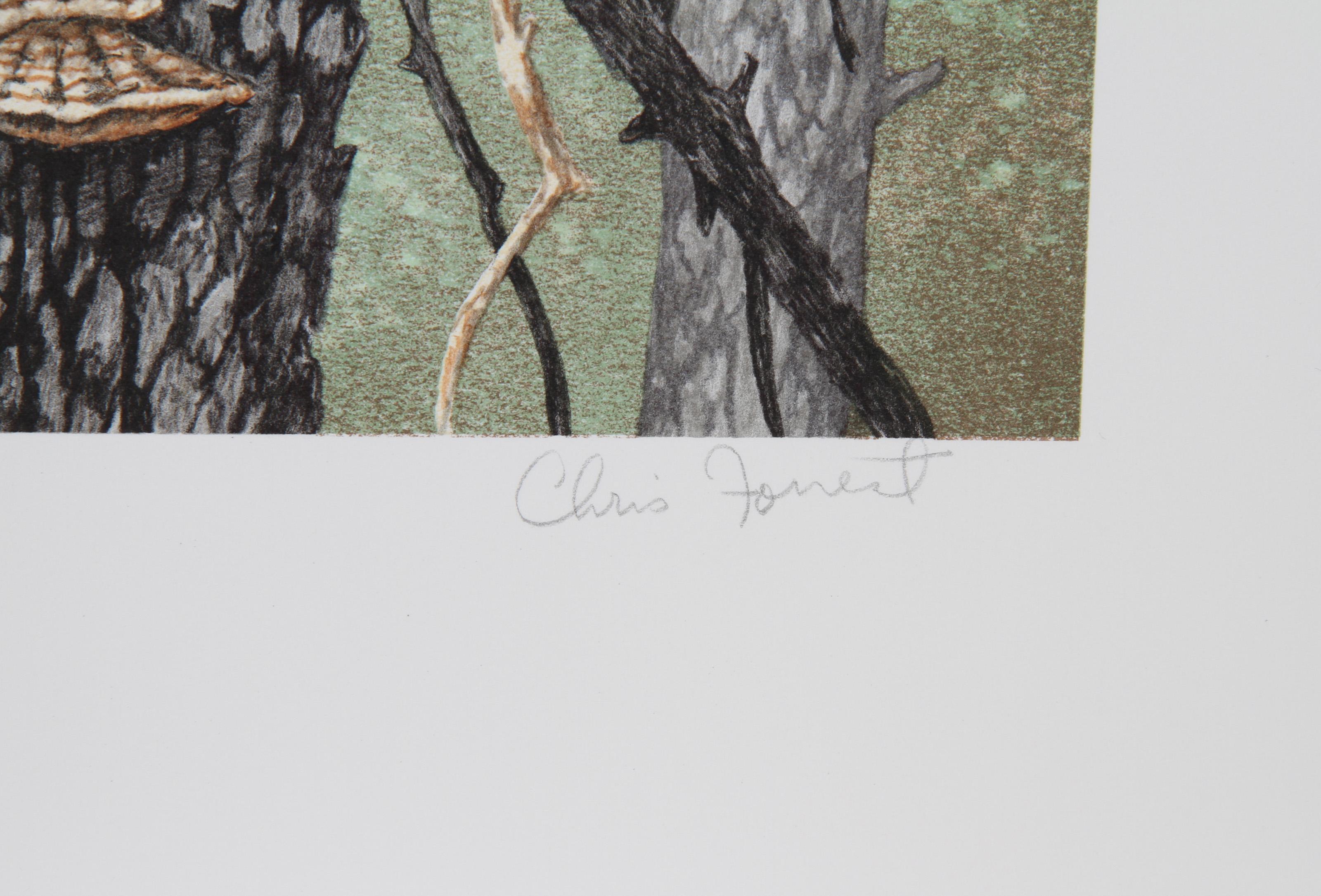 Great Horned Owl, Amerikanischer Realist Lithographie von Chris Forrest im Angebot 1