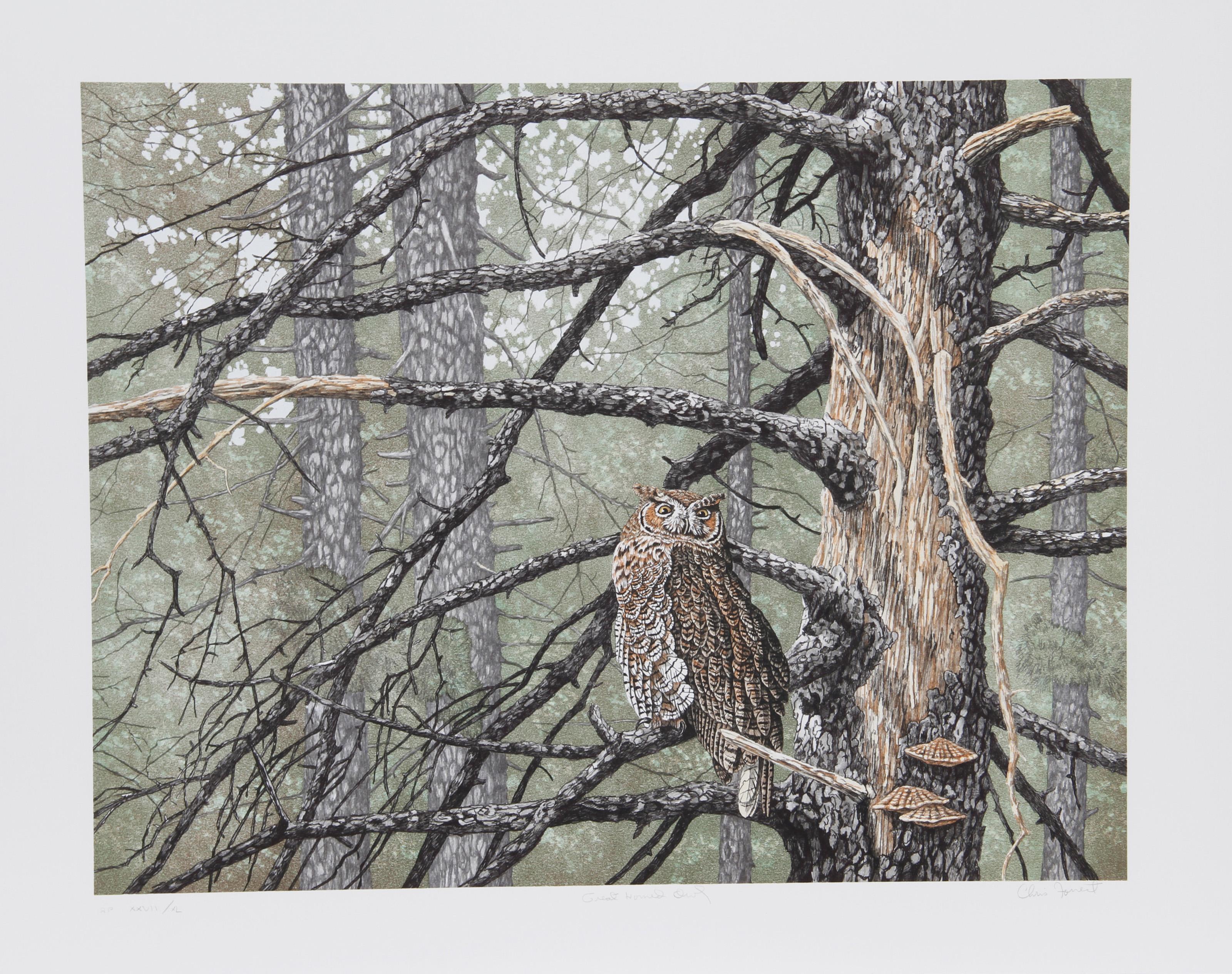 Great Horned Owl, Amerikanischer Realist Lithographie von Chris Forrest