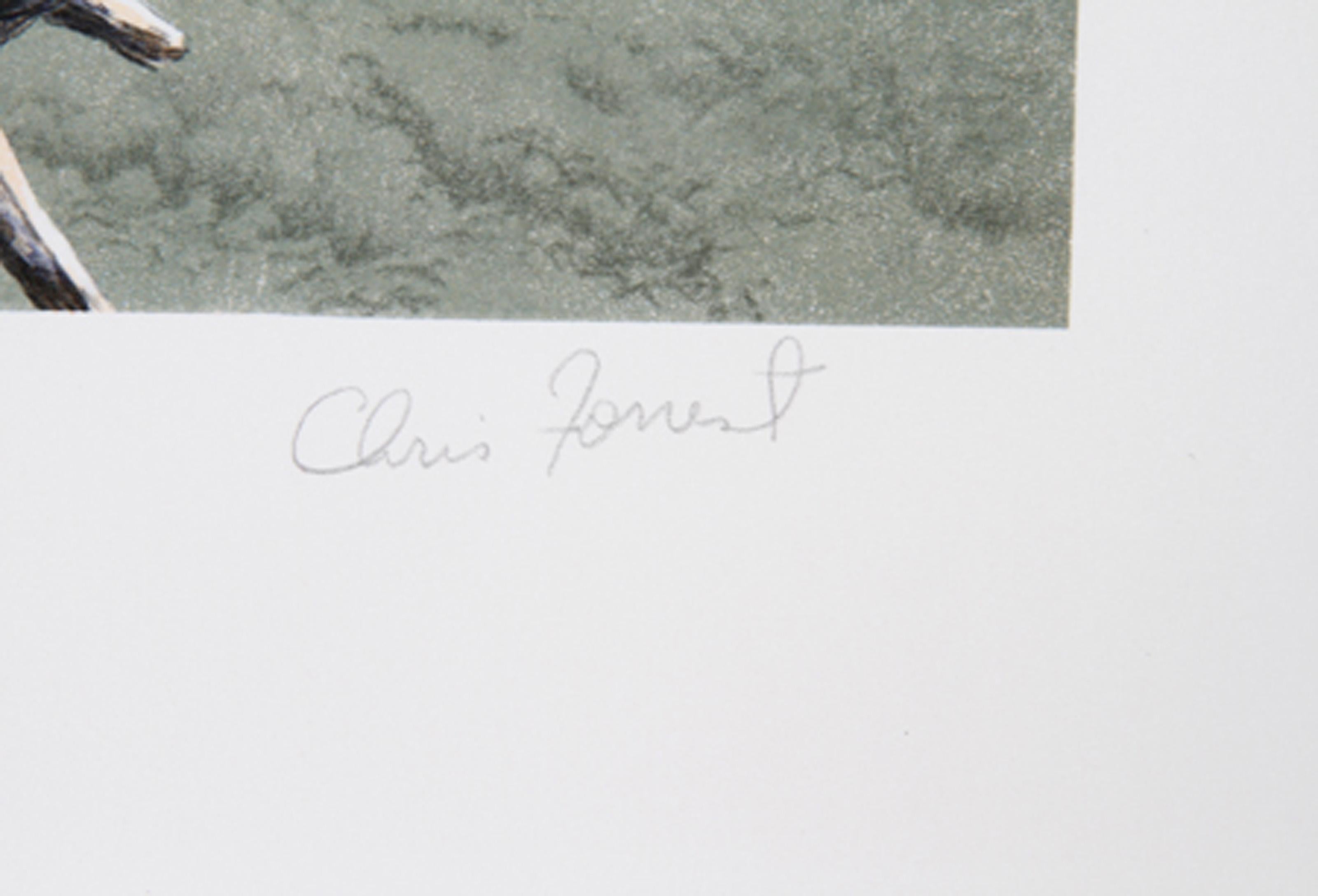 Green Mt. Overlook, amerikanische realistische Lithographie von Chris Forrest im Angebot 1