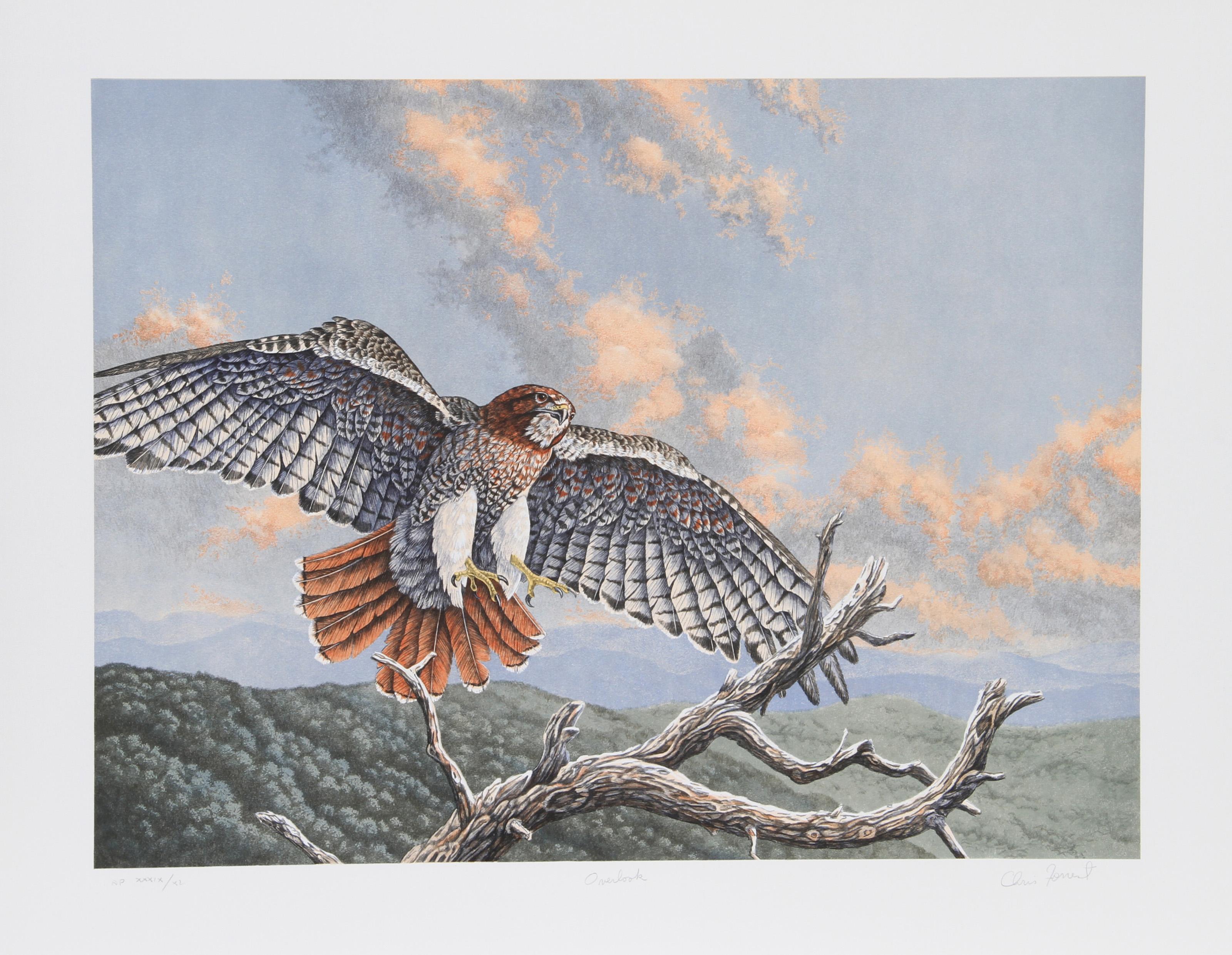 Chris Forrest, Amerikaner (1946 - ) - Green Mt. Overlook, Jahr:  1980, Medium:  Lithographie, signiert und nummeriert mit Bleistift, Auflage:  300, Bildgröße:  18 x 24 Zoll, Größe:  23 in. x 29 in. (58,42 cm x 73,66 cm), Beschreibung:  Chris