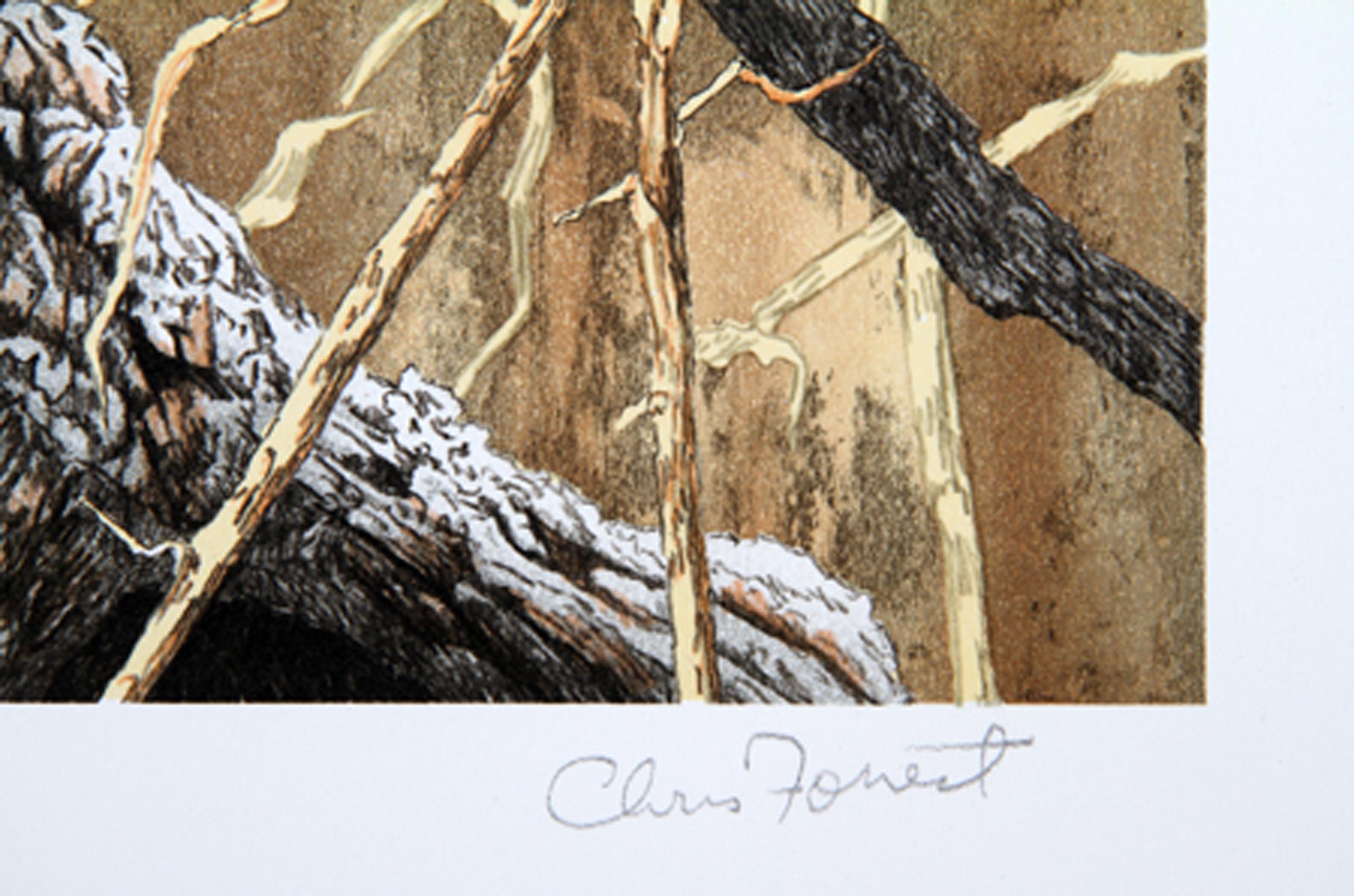 Grün geflügelter Teal, amerikanische realistische Lithographie von Chris Forrest im Angebot 1