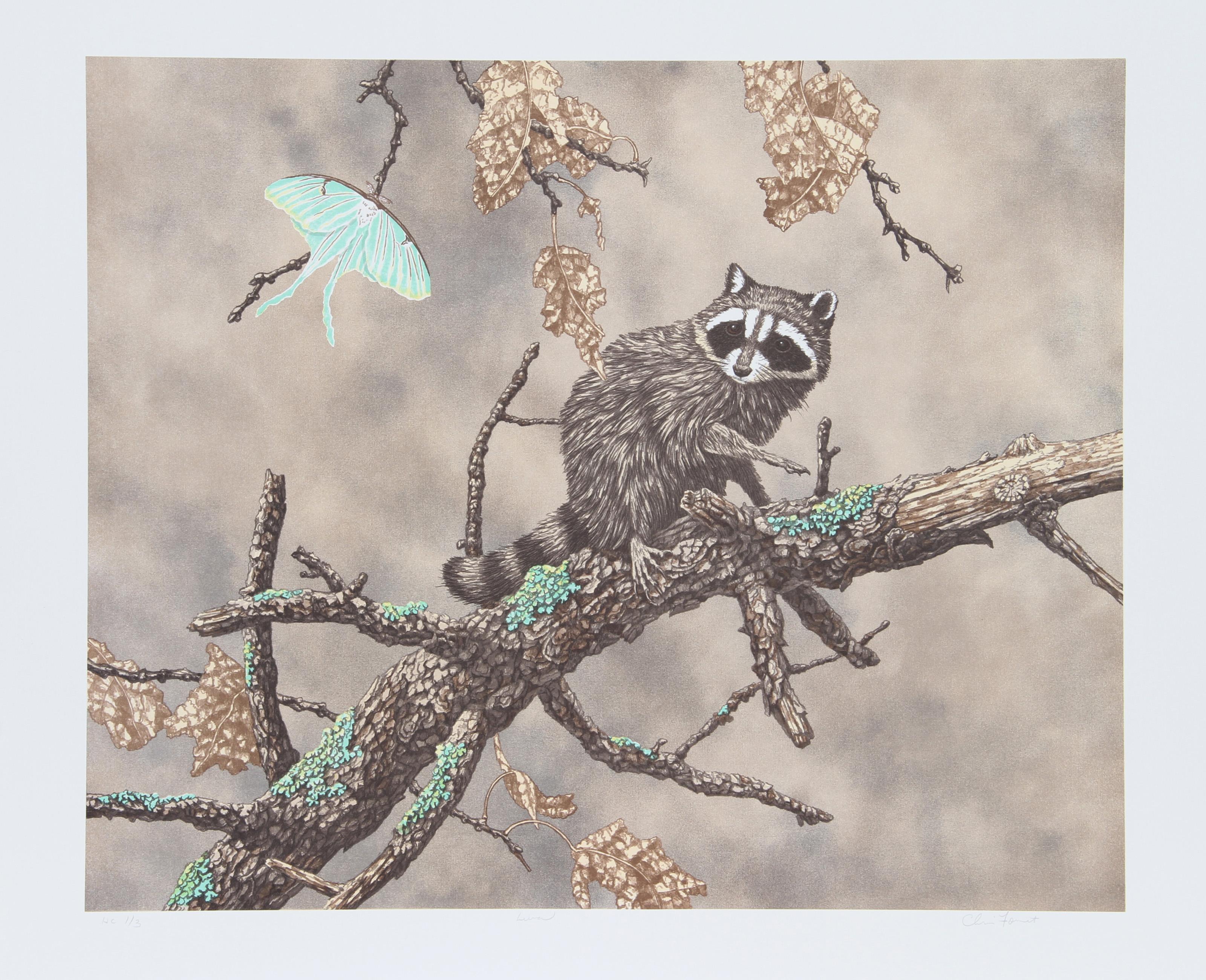 Luna (Racoon), amerikanische realistische Lithographie von Chris Forrest