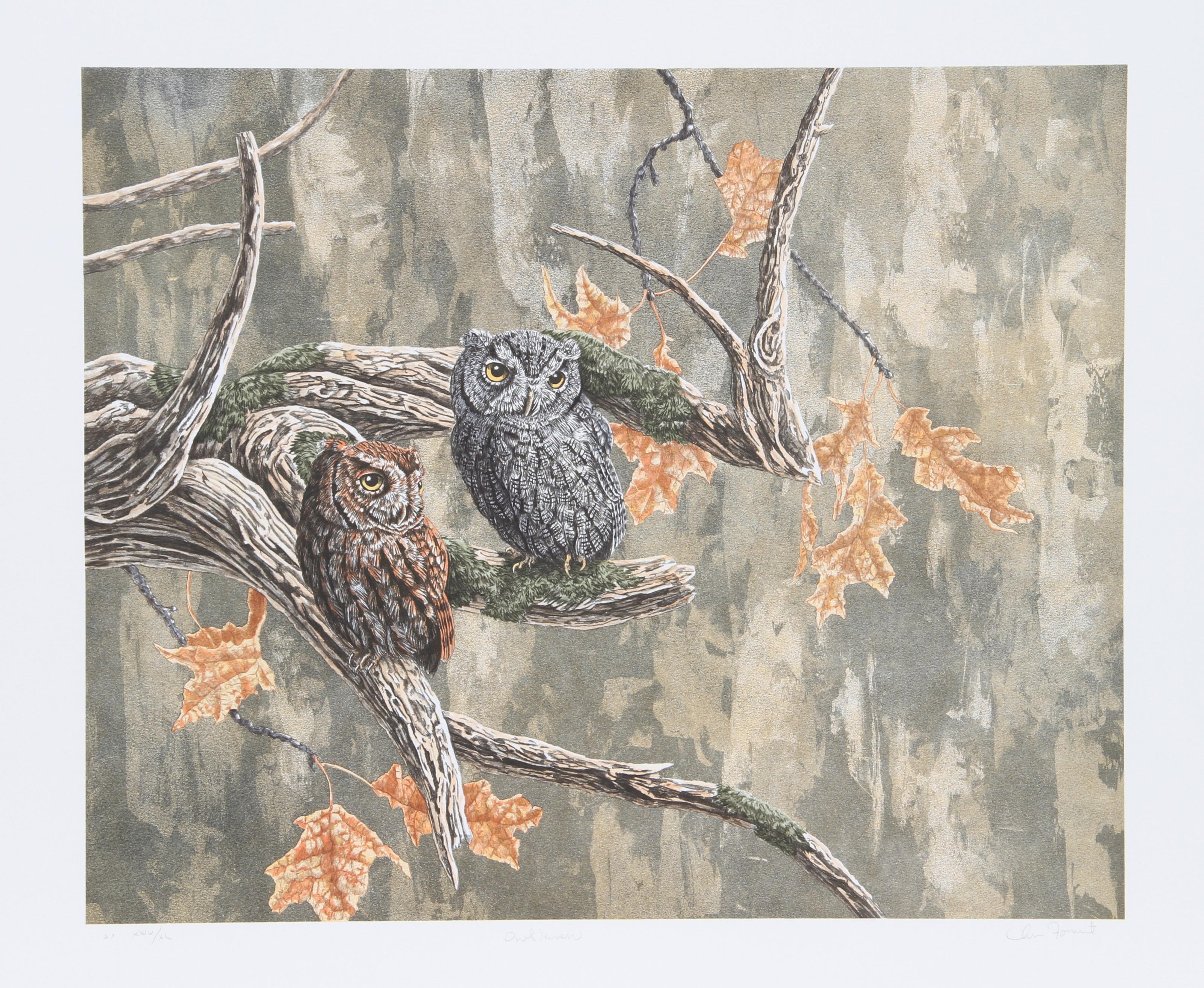 Owl Haven, litografia realista americana di Chris Forrest
