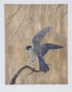 Peregrine, Lithographie des amerikanischen Realismus von Chris Forrest