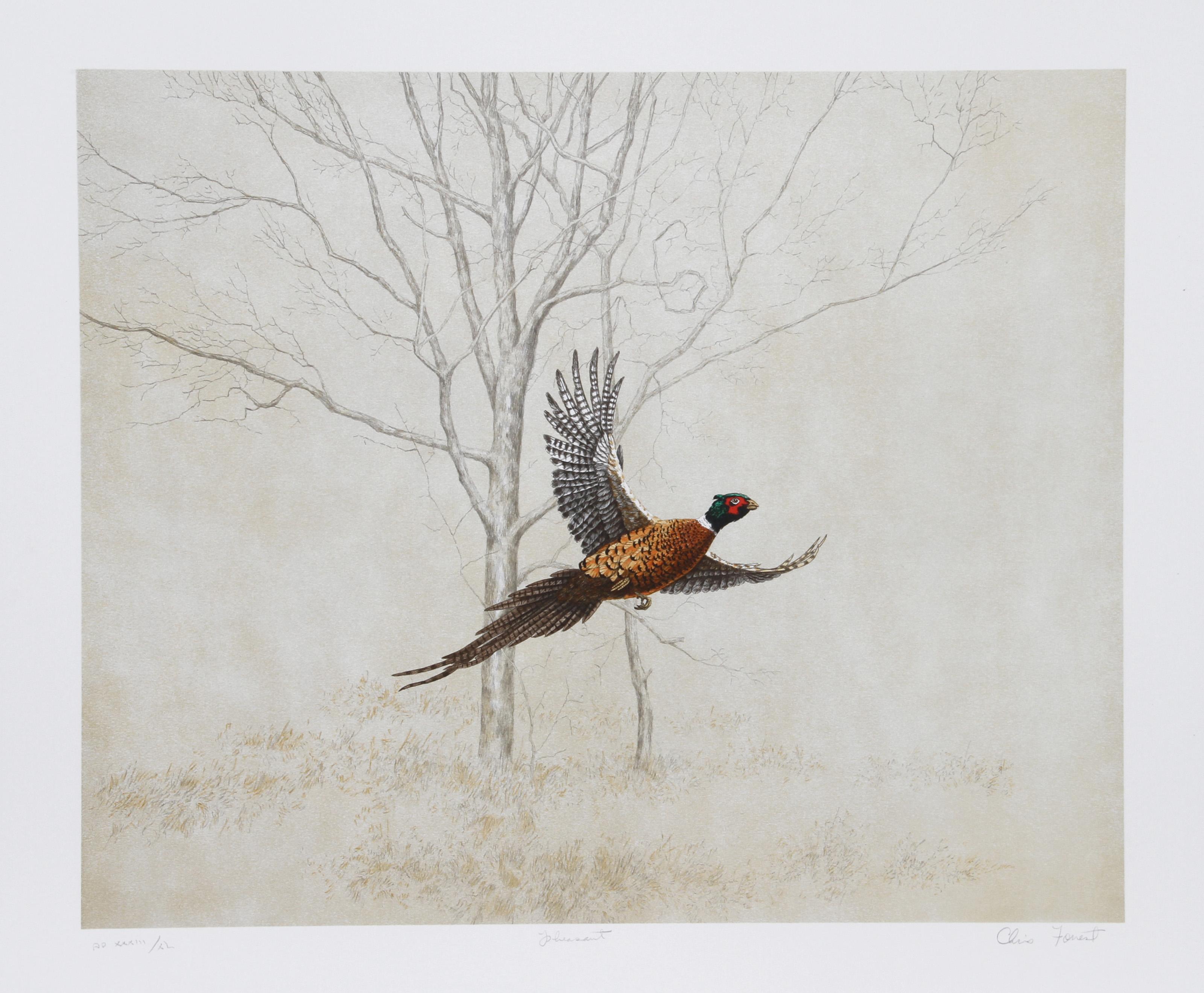 Fagiano, litografia realista americana di Chris Forrest