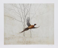 Le faisan, lithographie réaliste américaine de Chris Forrest