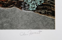 Red Tail Hawk, American Realist Lithograph by Chris Forrest