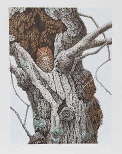 Hibou en hêtre américain, lithographie réaliste de Chris Forrest