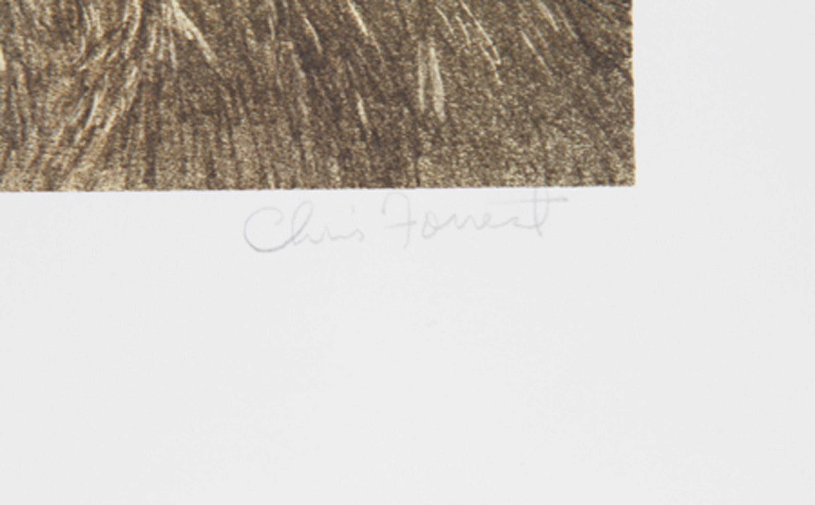 Sentinel, American Realist Lithograph by Chris Forrest For Sale 1