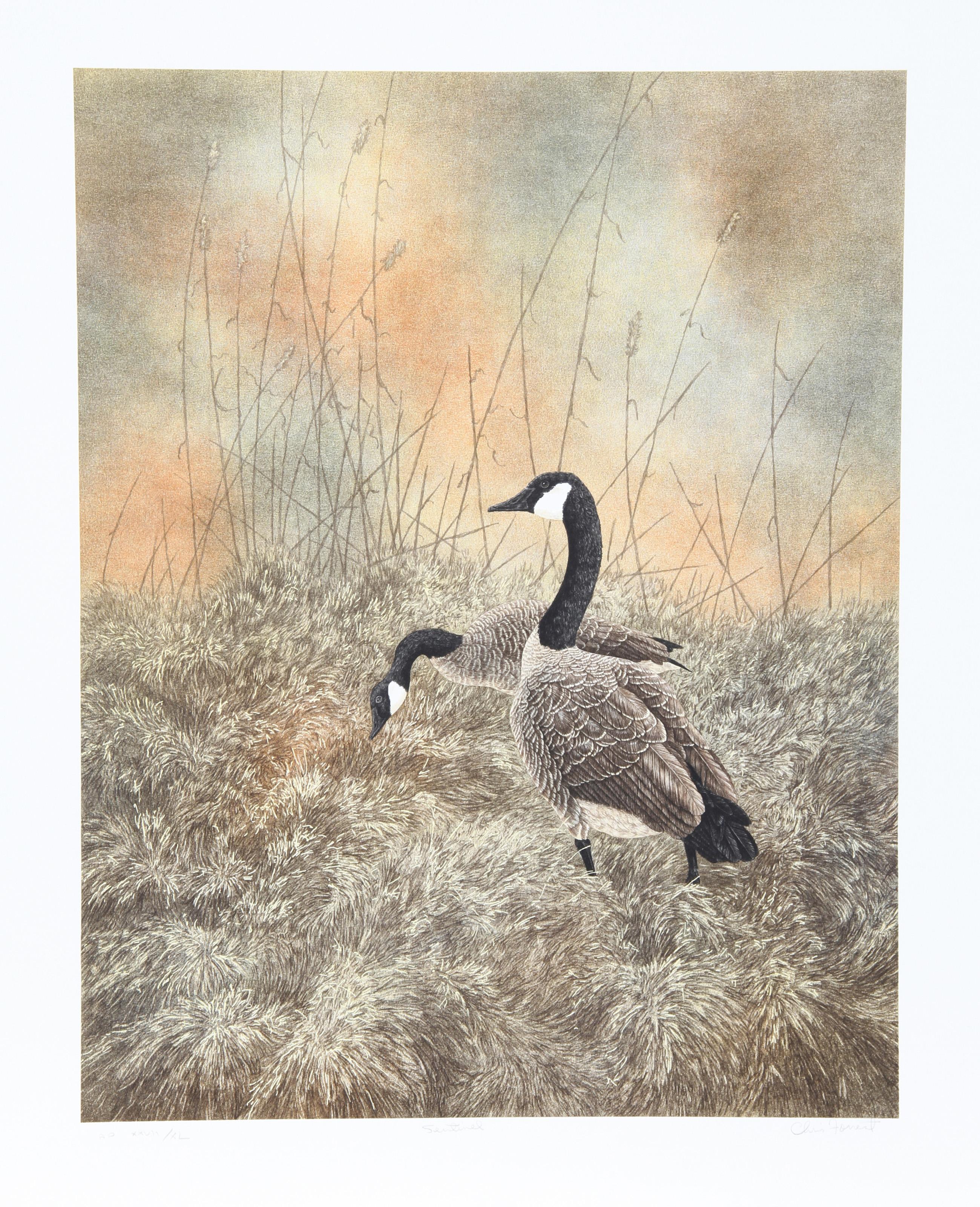 Sentinel, litografia realista americana di Chris Forrest