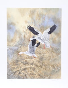Lande che atterrano, litografia realista americana di Chris Forrest