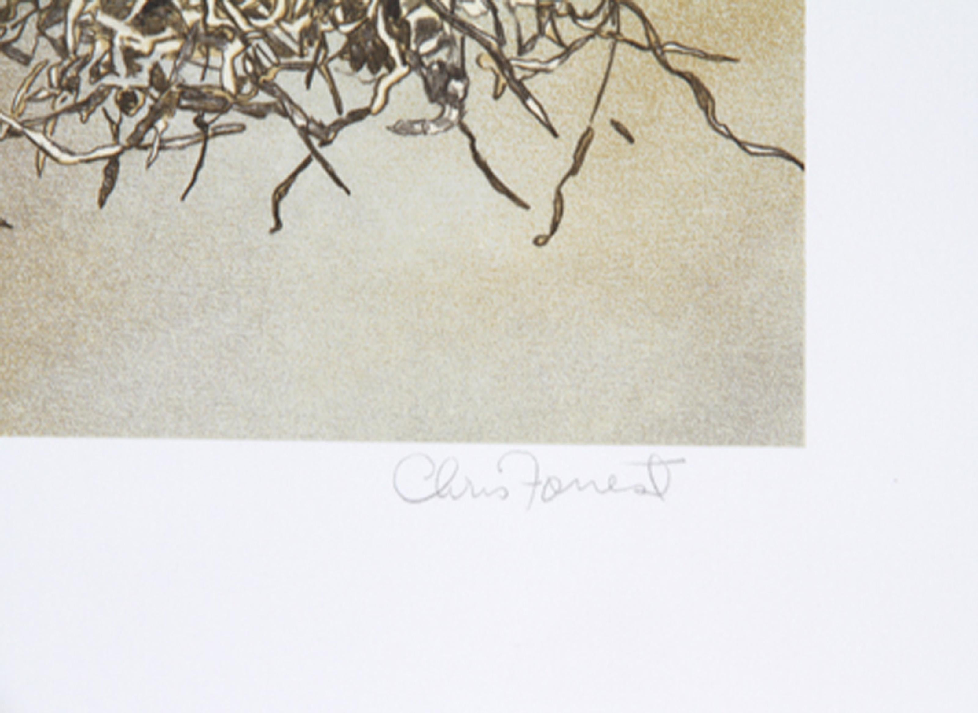 Schnee Eule, amerikanische realistische Lithographie von Chris Forrest im Angebot 1